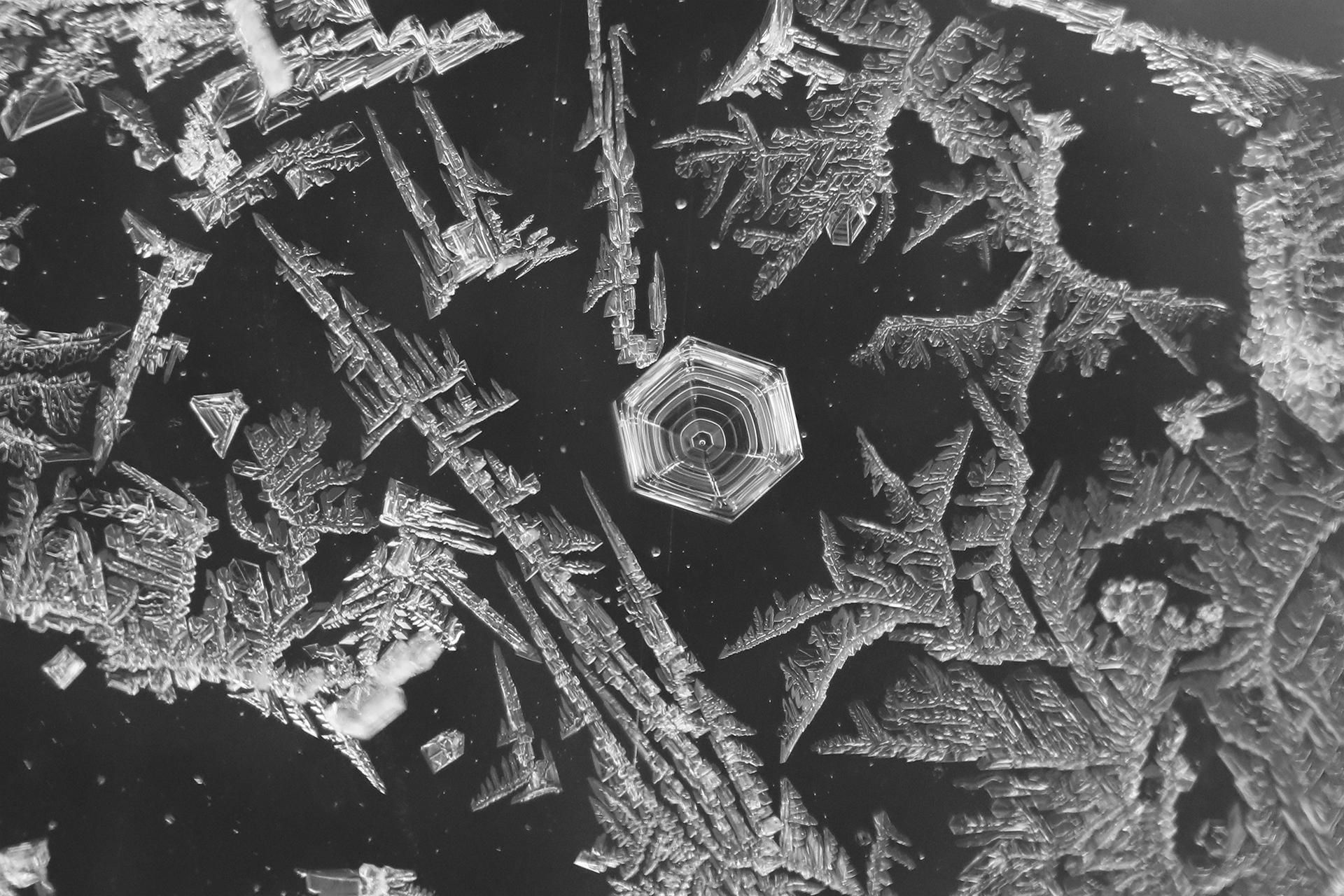 London Photography Awards Winner - Frosty Trails