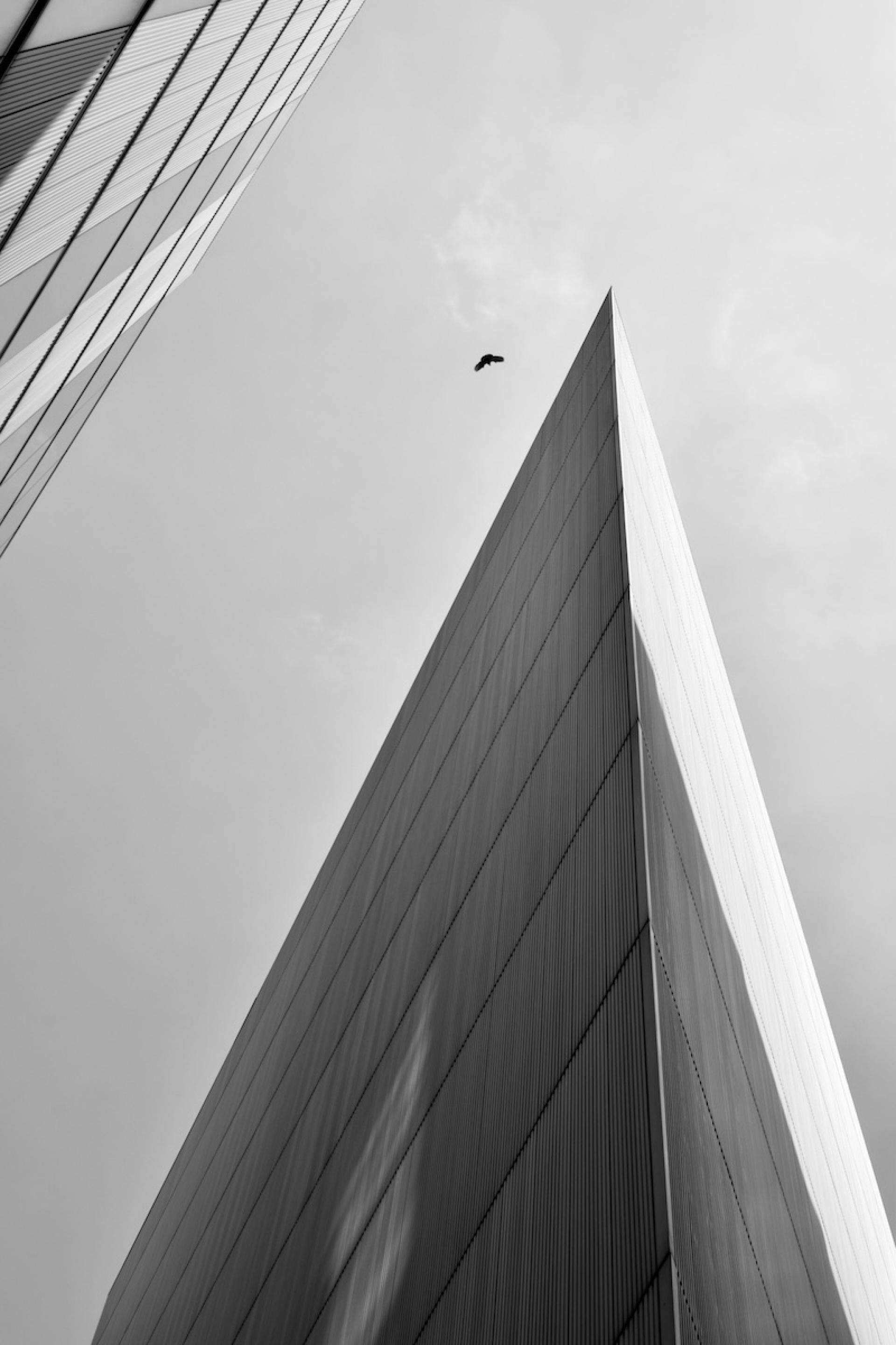 London Photography Awards Winner - alignment