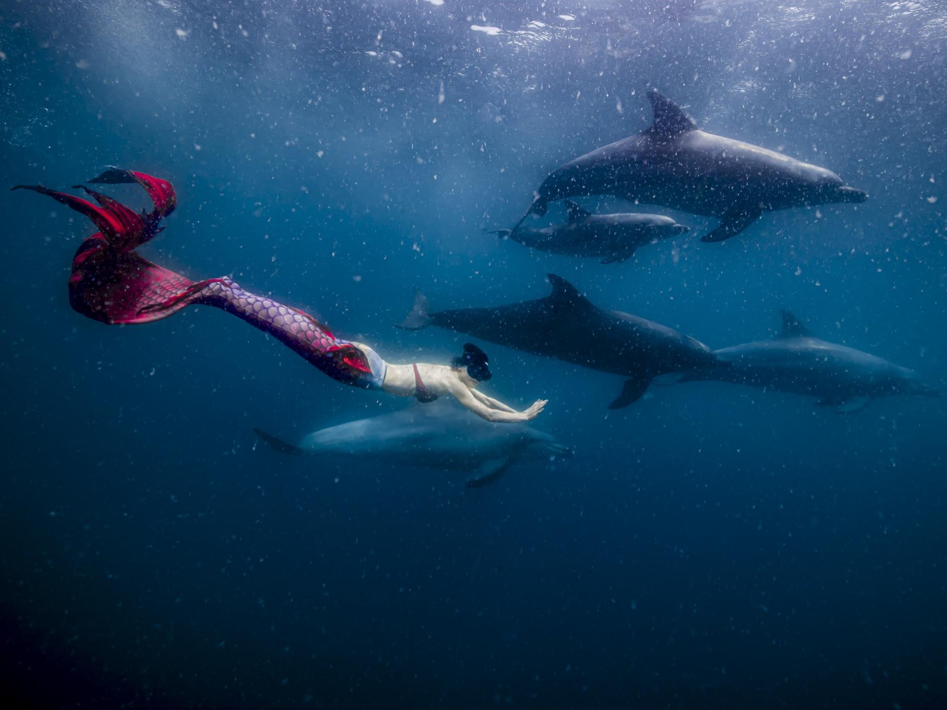London Photography Awards Winner - A Symbiosis of Myth and Reality