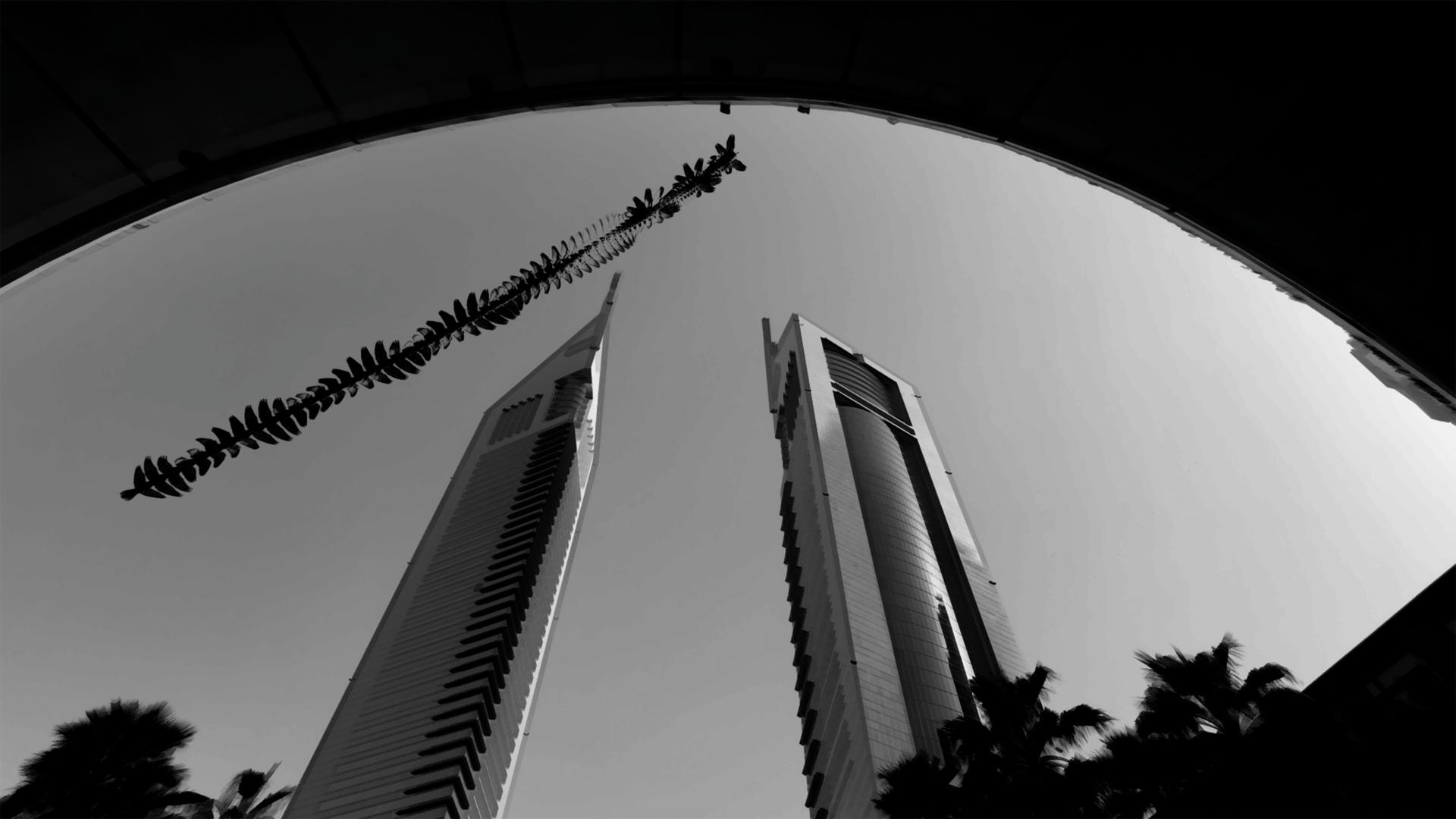 London Photography Awards Winner - When Towers Meet Wings