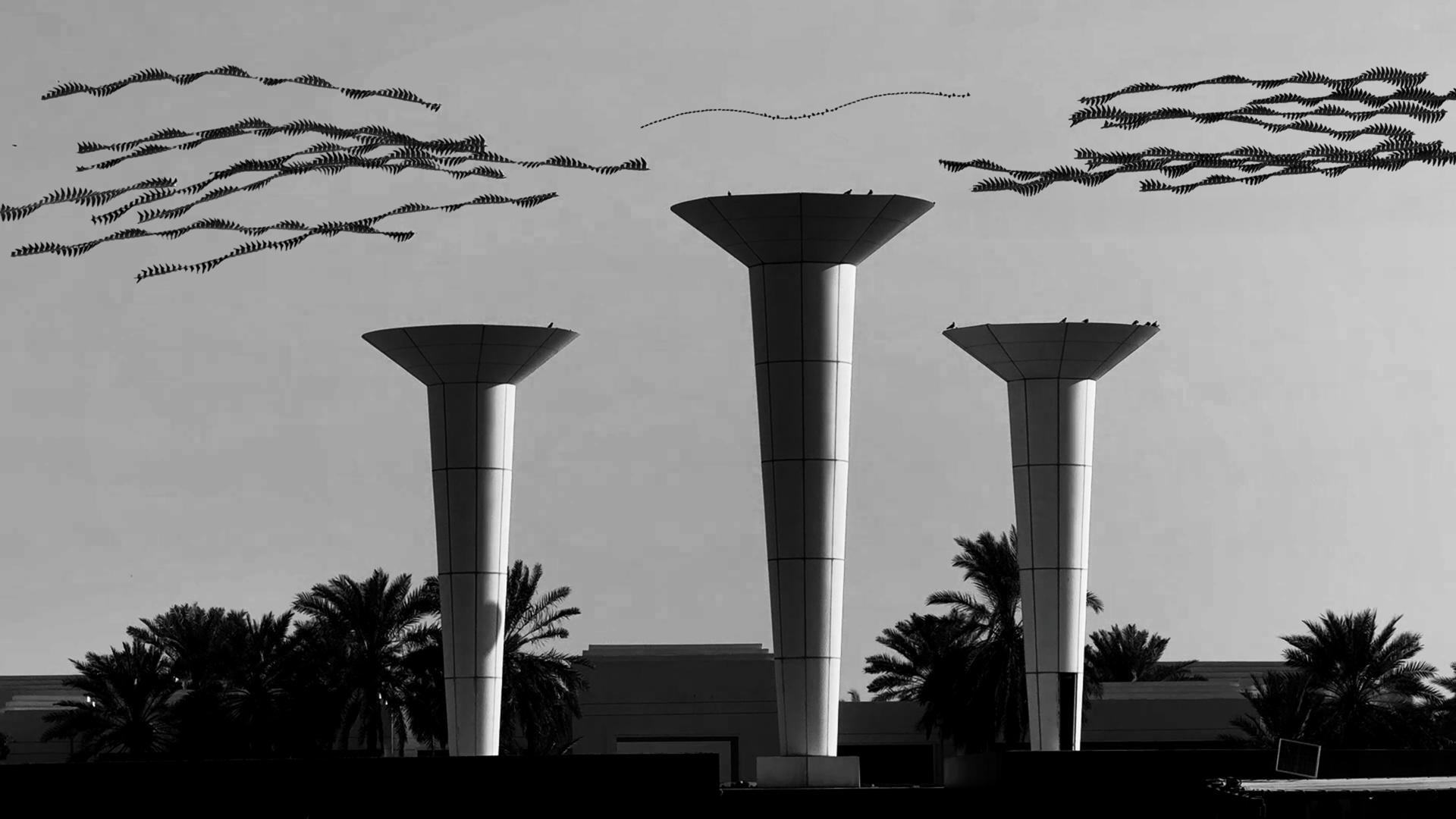 London Photography Awards Winner - When Towers Meet Wings