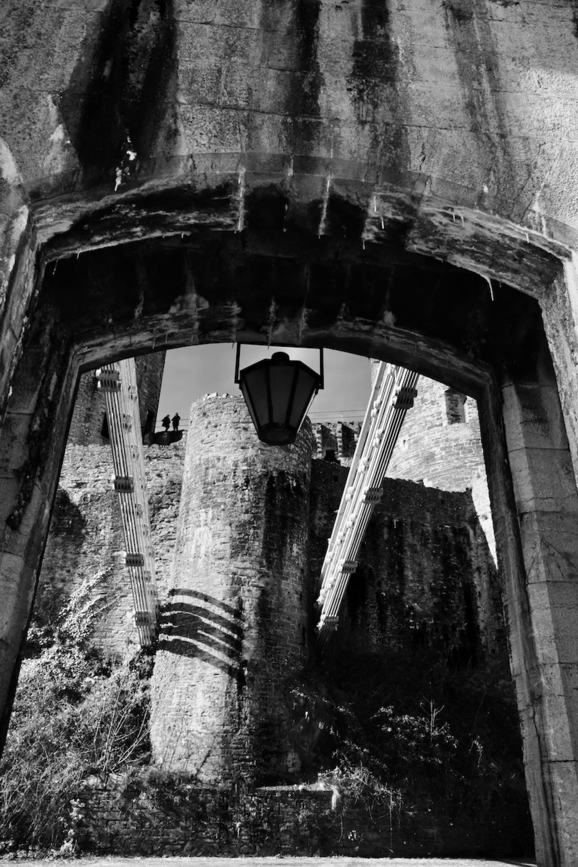London Photography Awards Winner - suspended in time