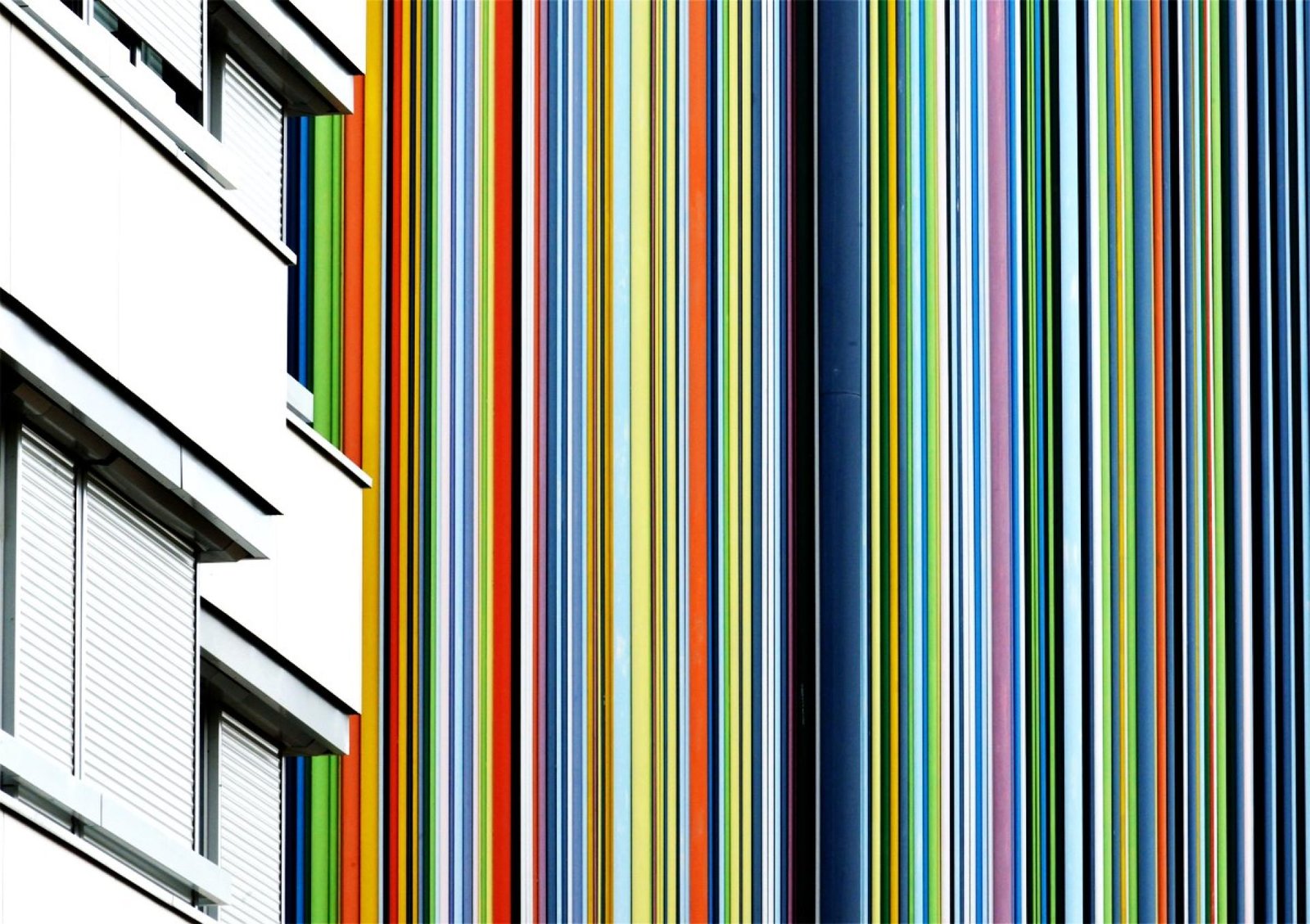 London Photography Awards Winner - Biocities (Skin of the cities)