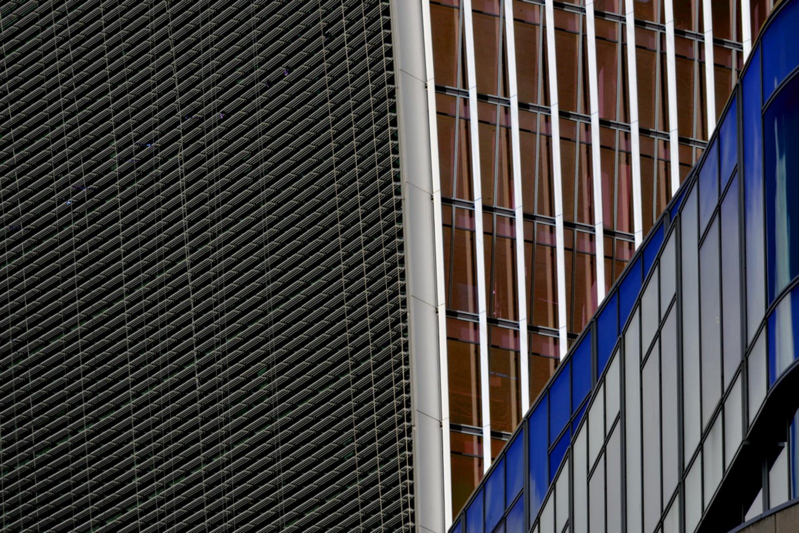 London Photography Awards Winner - Biocities (Skin of the cities)
