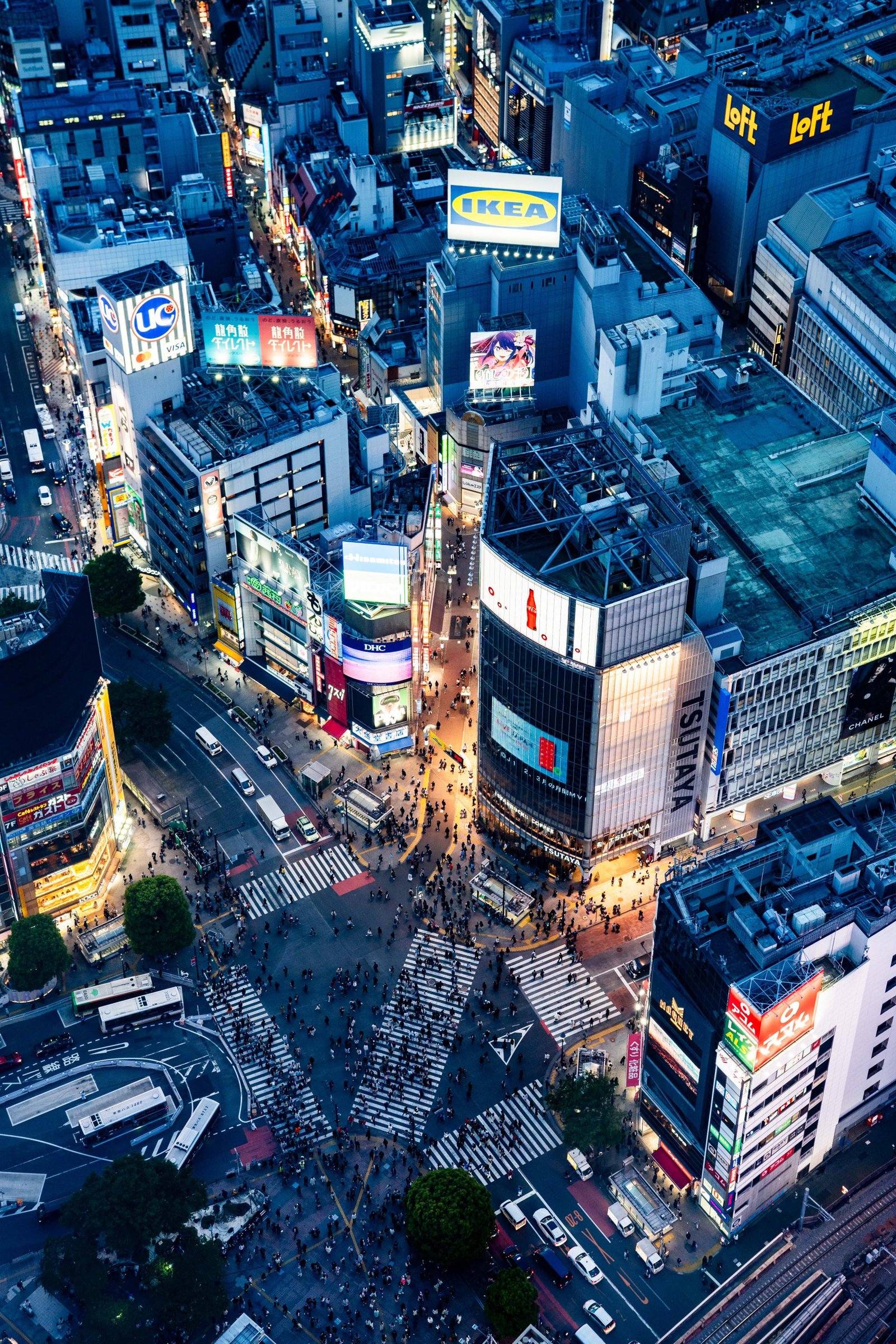 London Photography Awards Winner - Shi-Blue-Ya