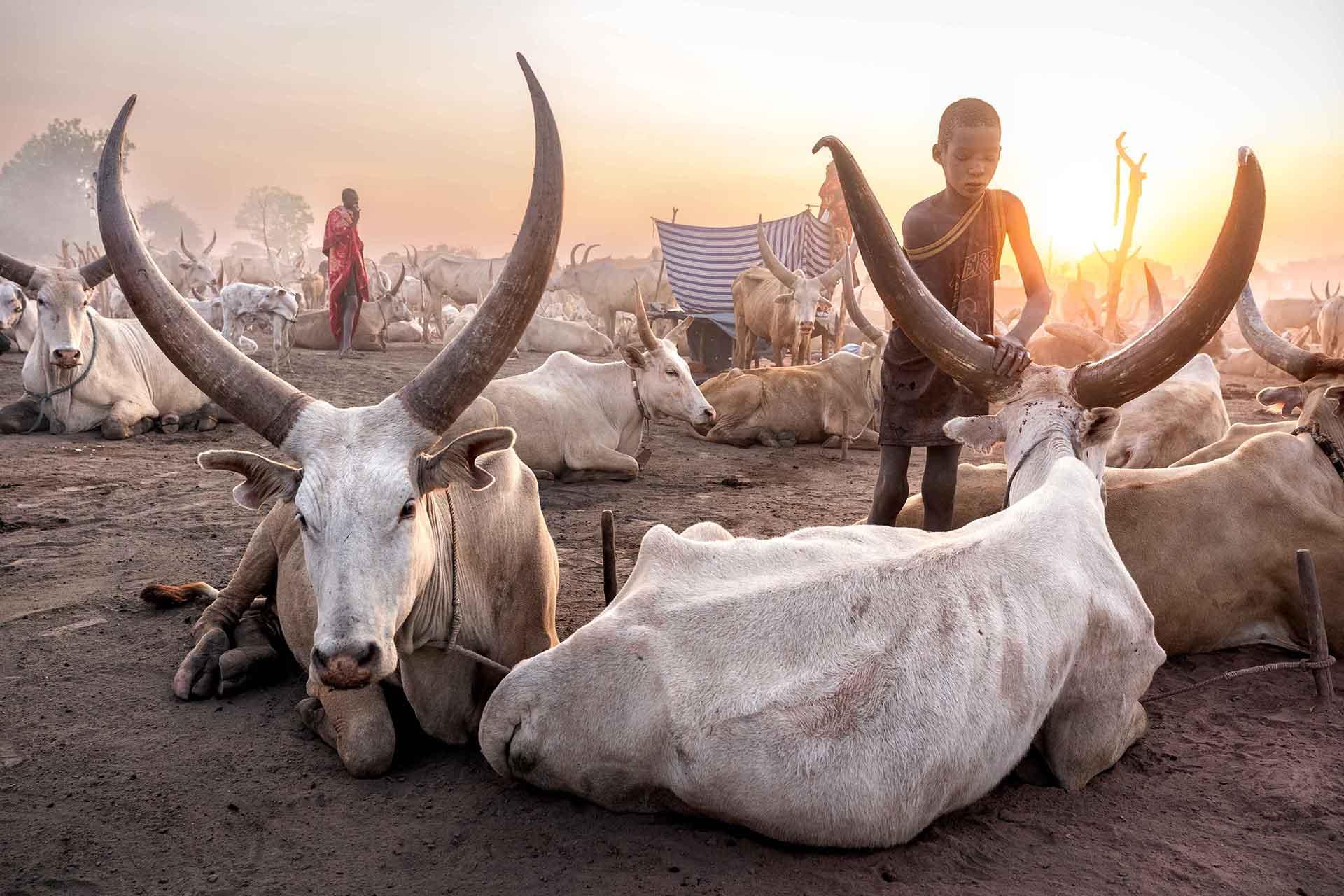 London Photography Awards Winner - Vanishing Worlds