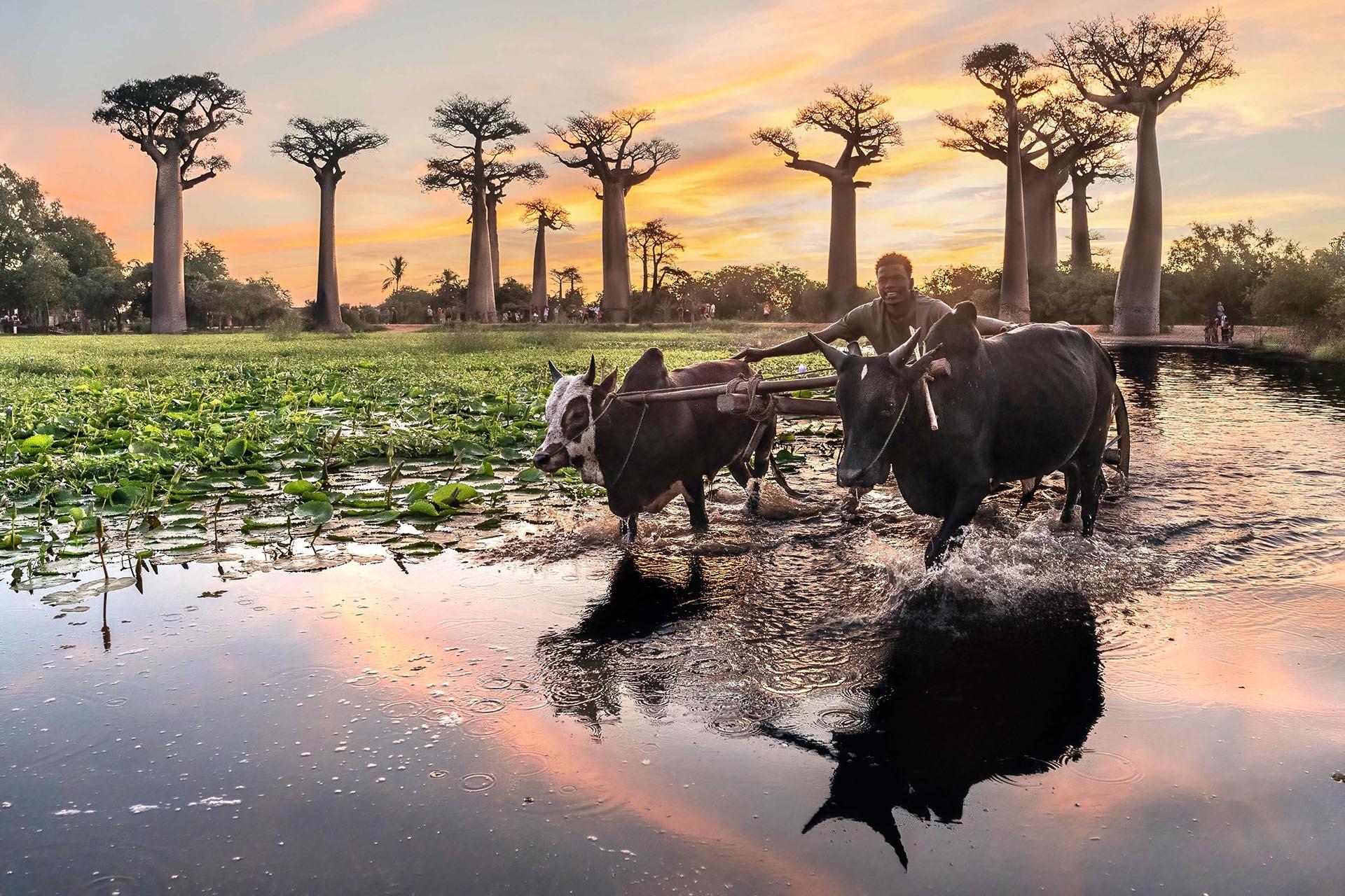 London Photography Awards Winner - Vanishing Worlds