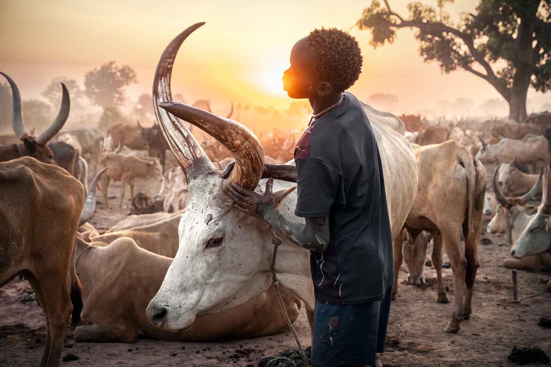 London Photography Awards Winner - Vanishing Worlds