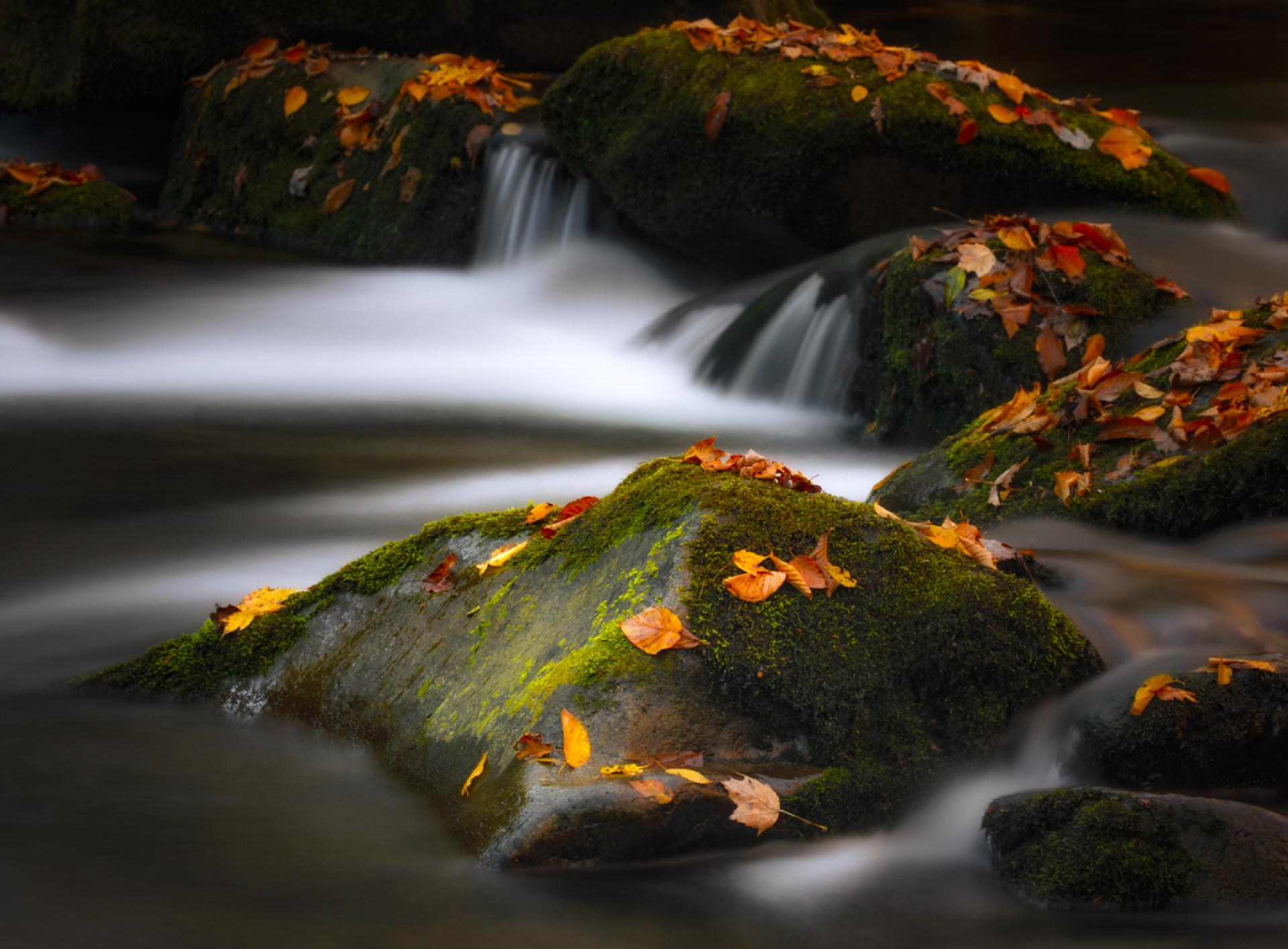 London Photography Awards Winner - Autumn's Pause