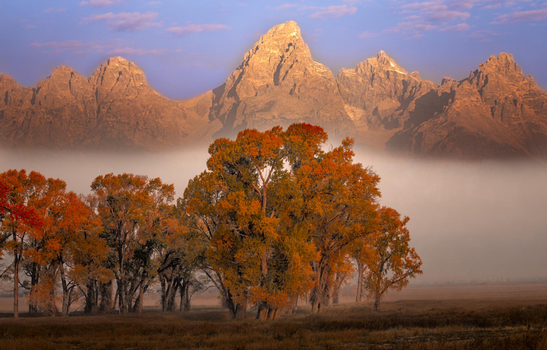 London Photography Awards Winner - Fall Haze
