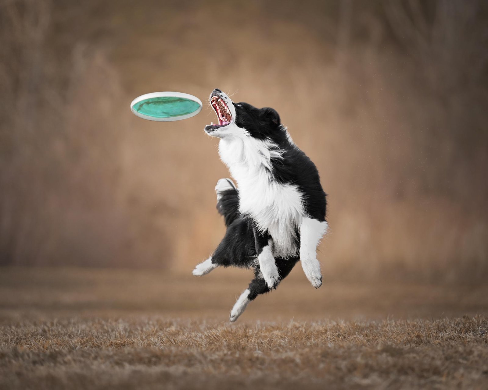 London Photography Awards Winner - Catchin' good vibes