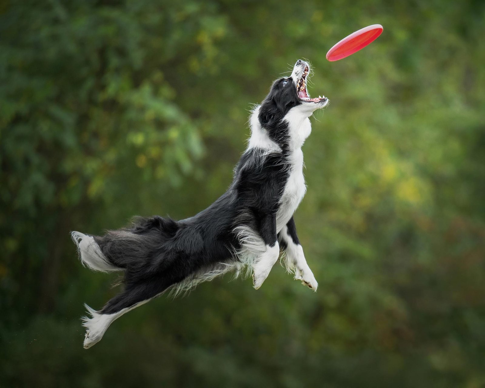London Photography Awards Winner - Aim high