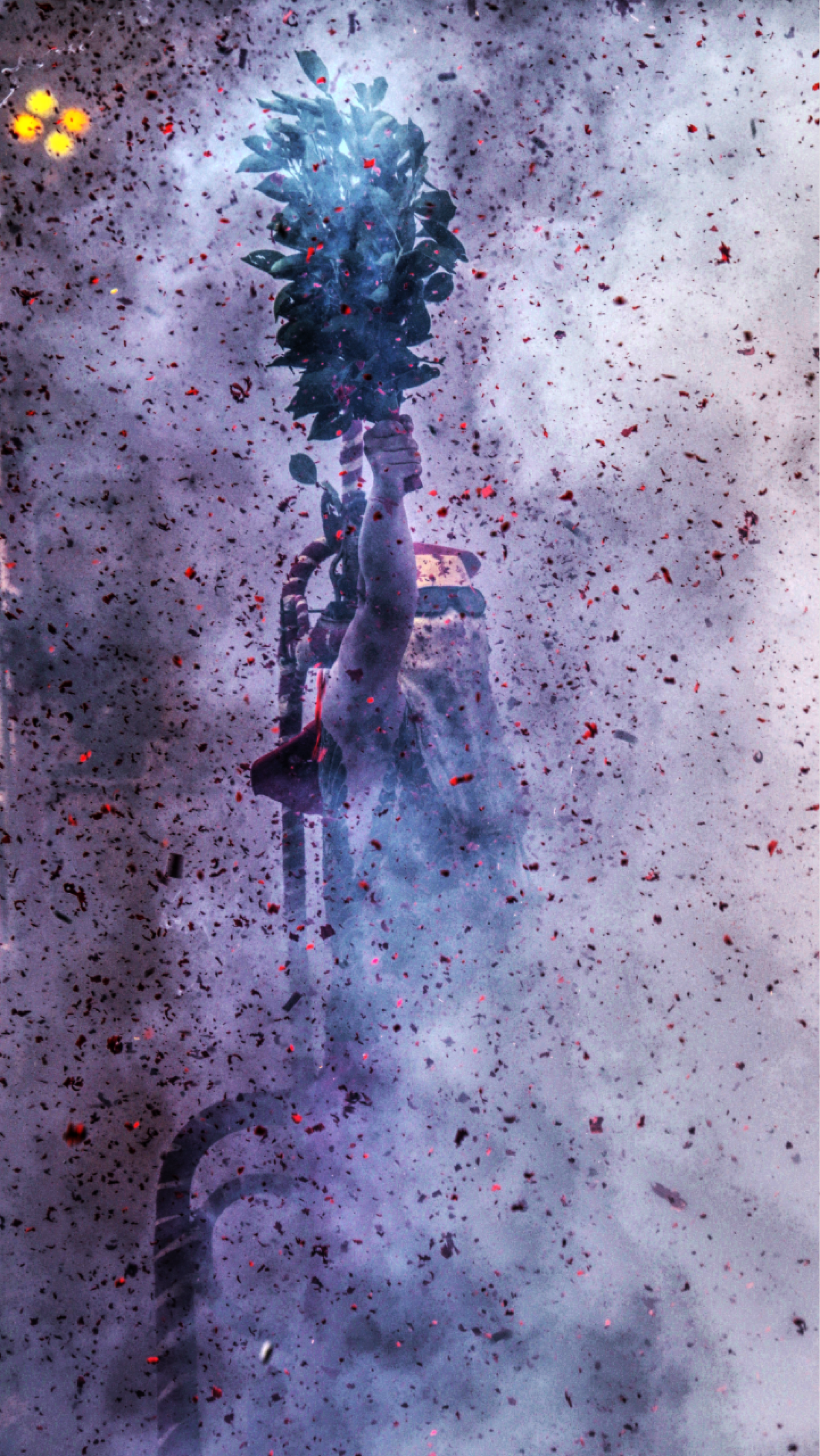 London Photography Awards Winner - Fried Handan