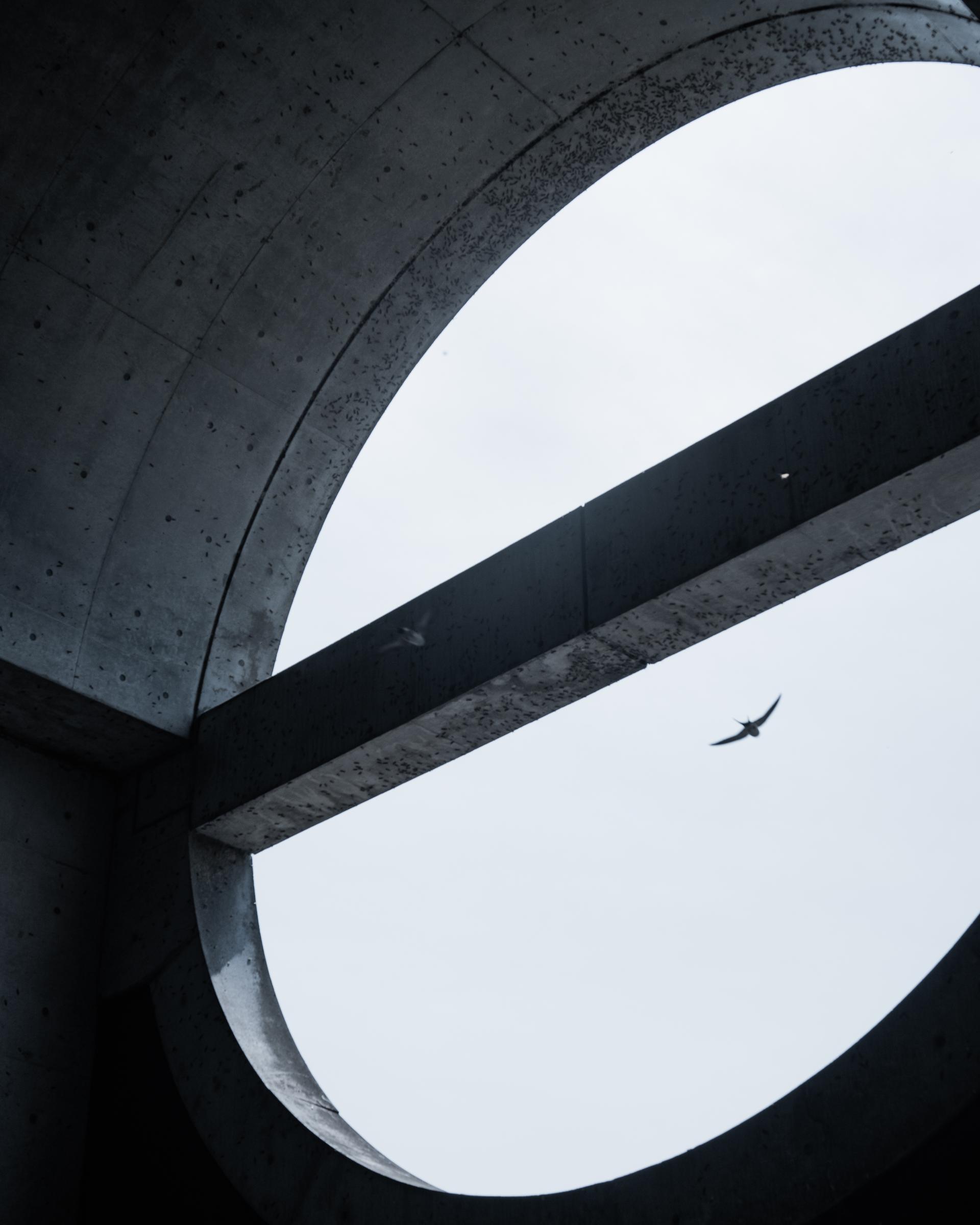 London Photography Awards Winner - Concrete Memento