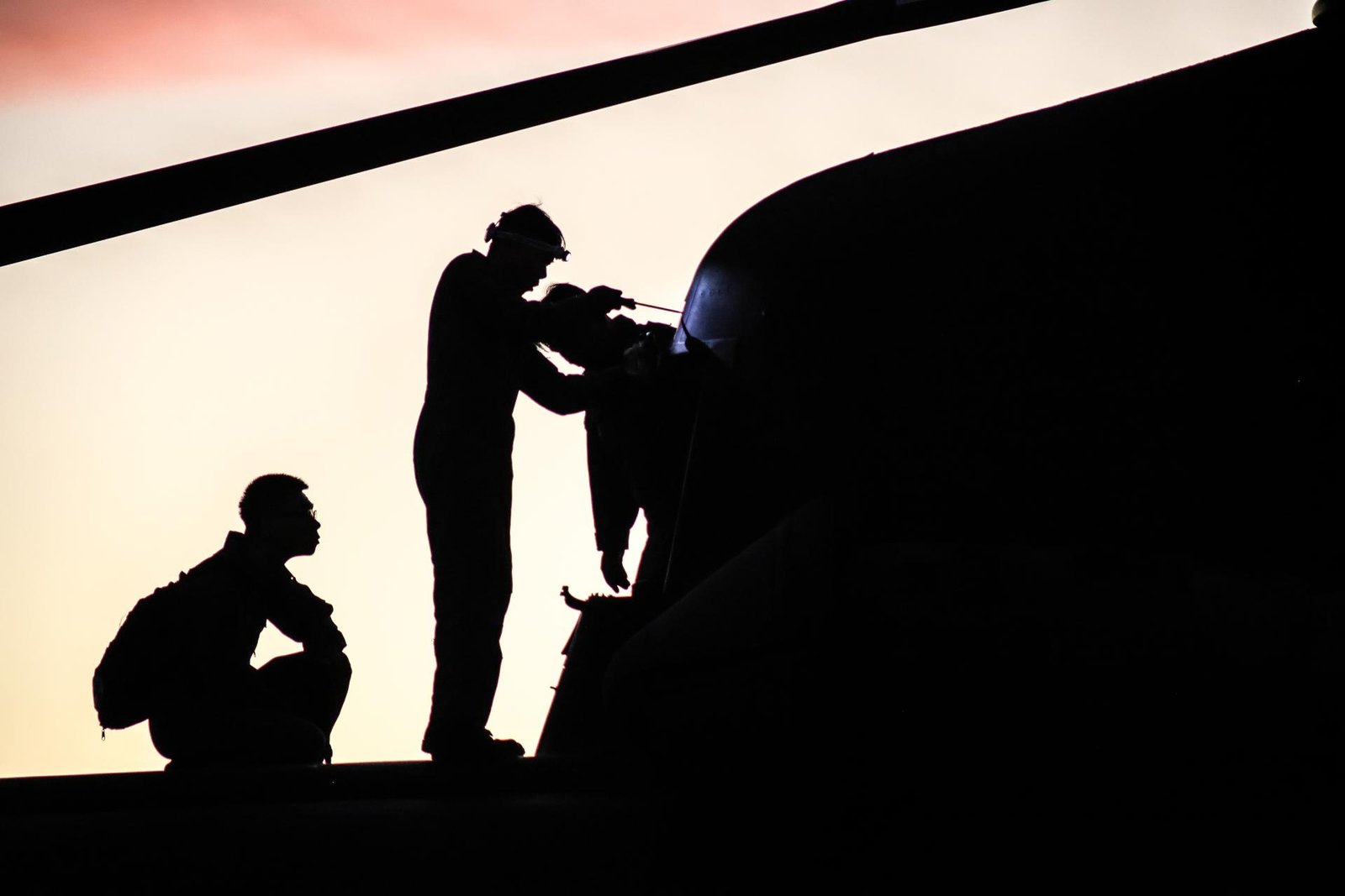 London Photography Awards Winner - Flight Guardians