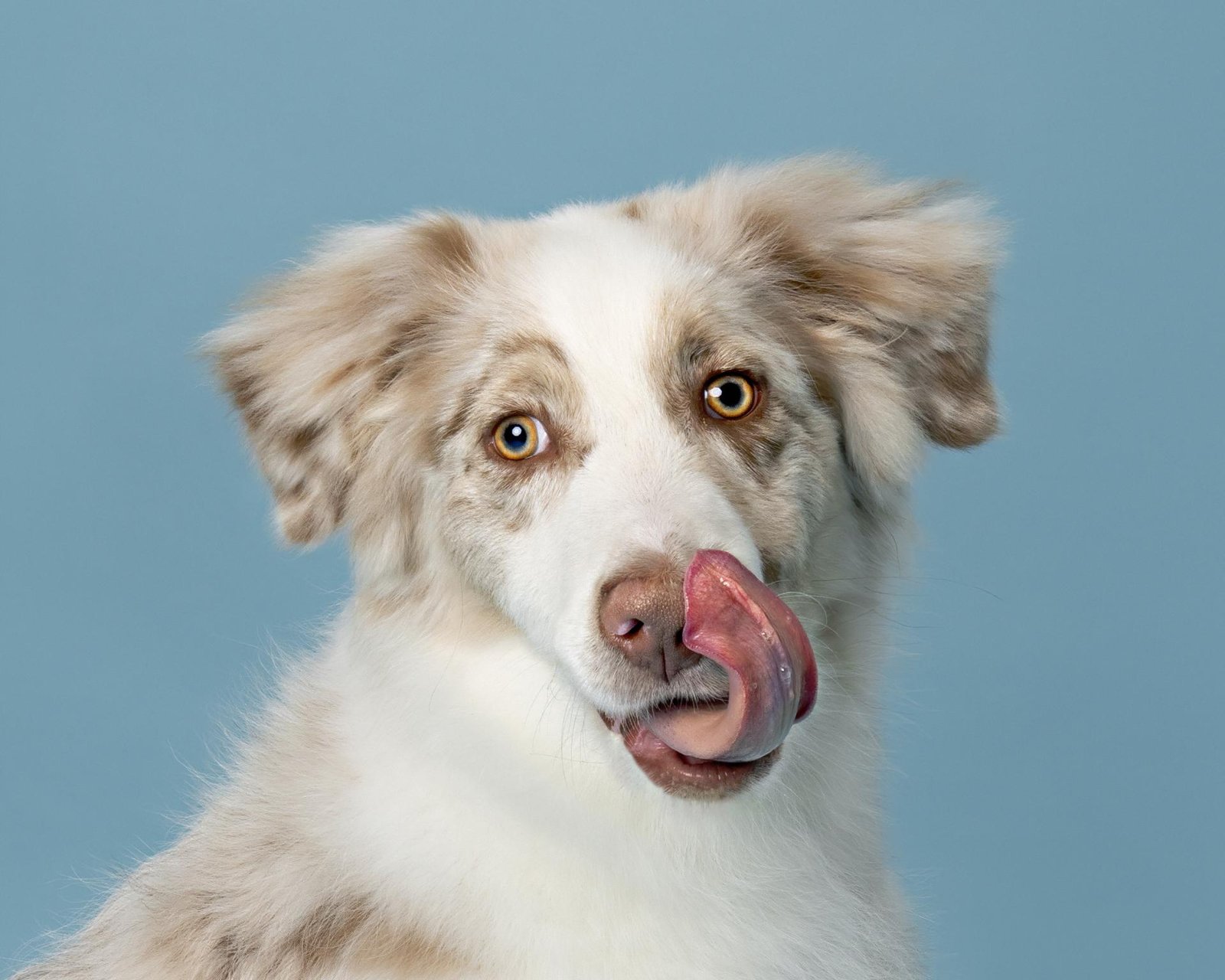 London Photography Awards Winner - Look At That Tongue