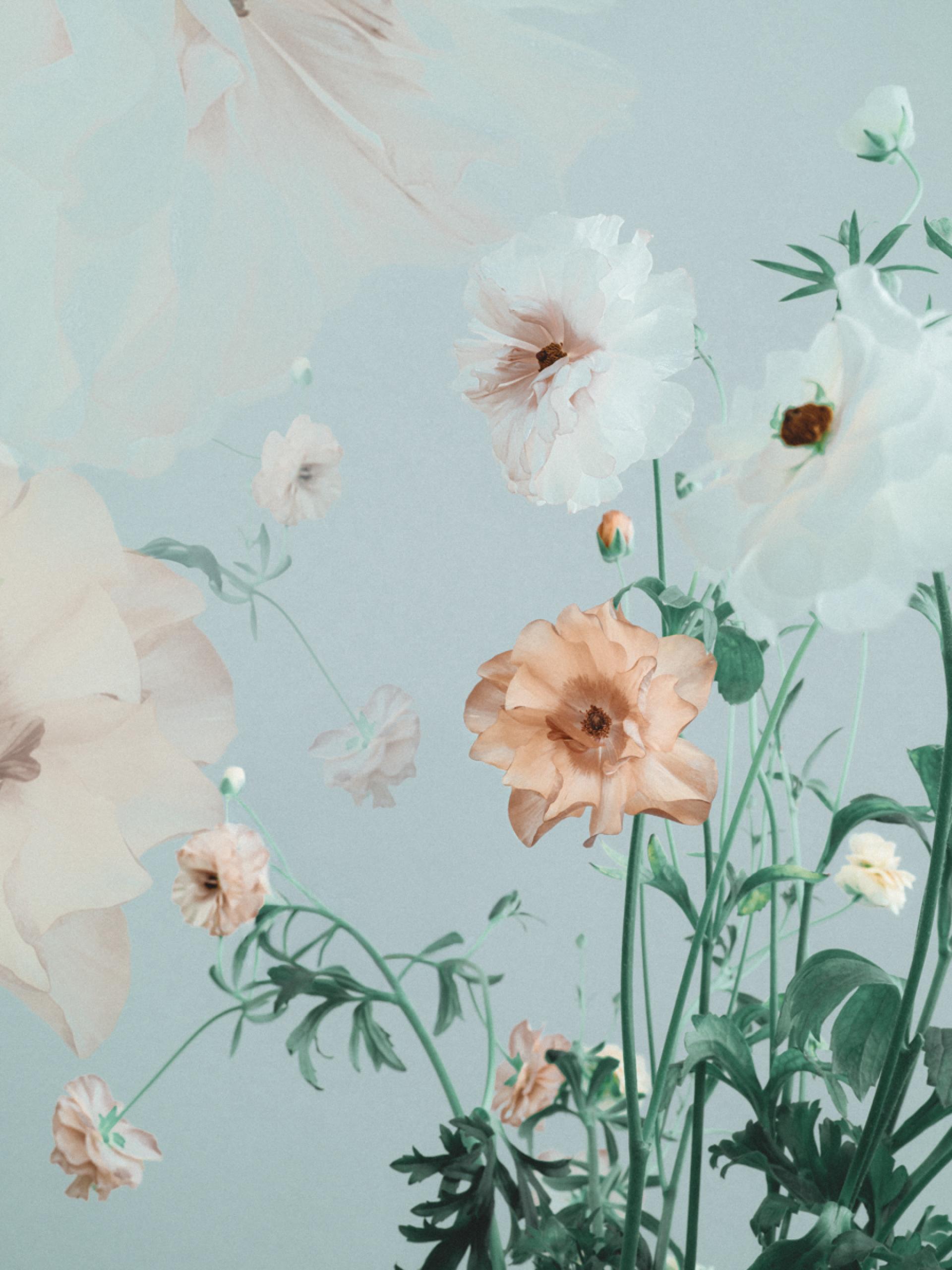 London Photography Awards Winner - Flower harmony