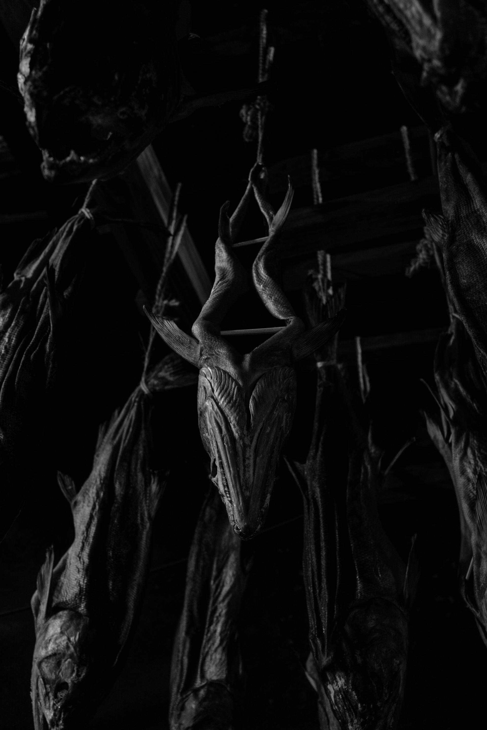 London Photography Awards Winner - salted salmon