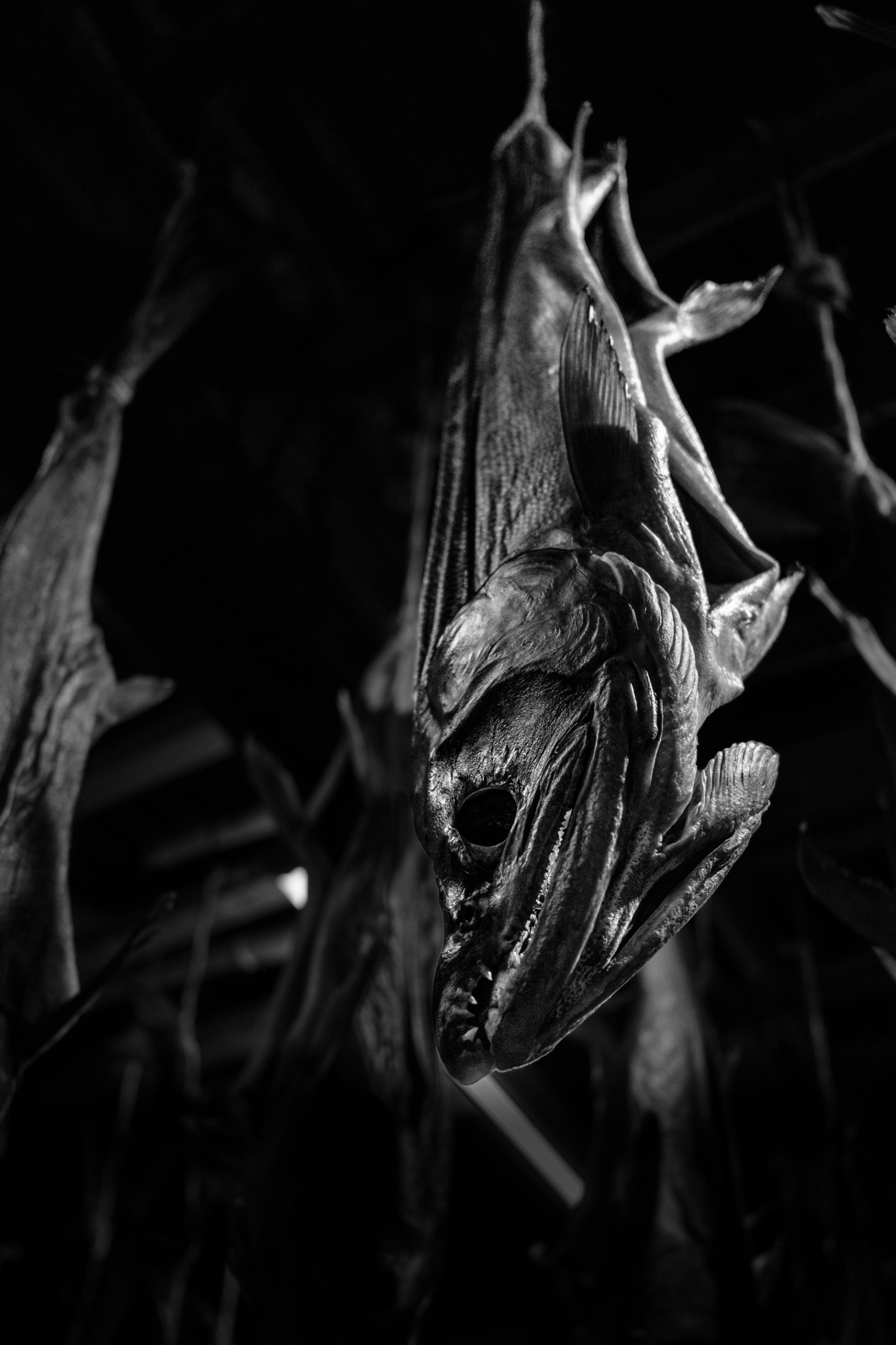 London Photography Awards Winner - salted salmon