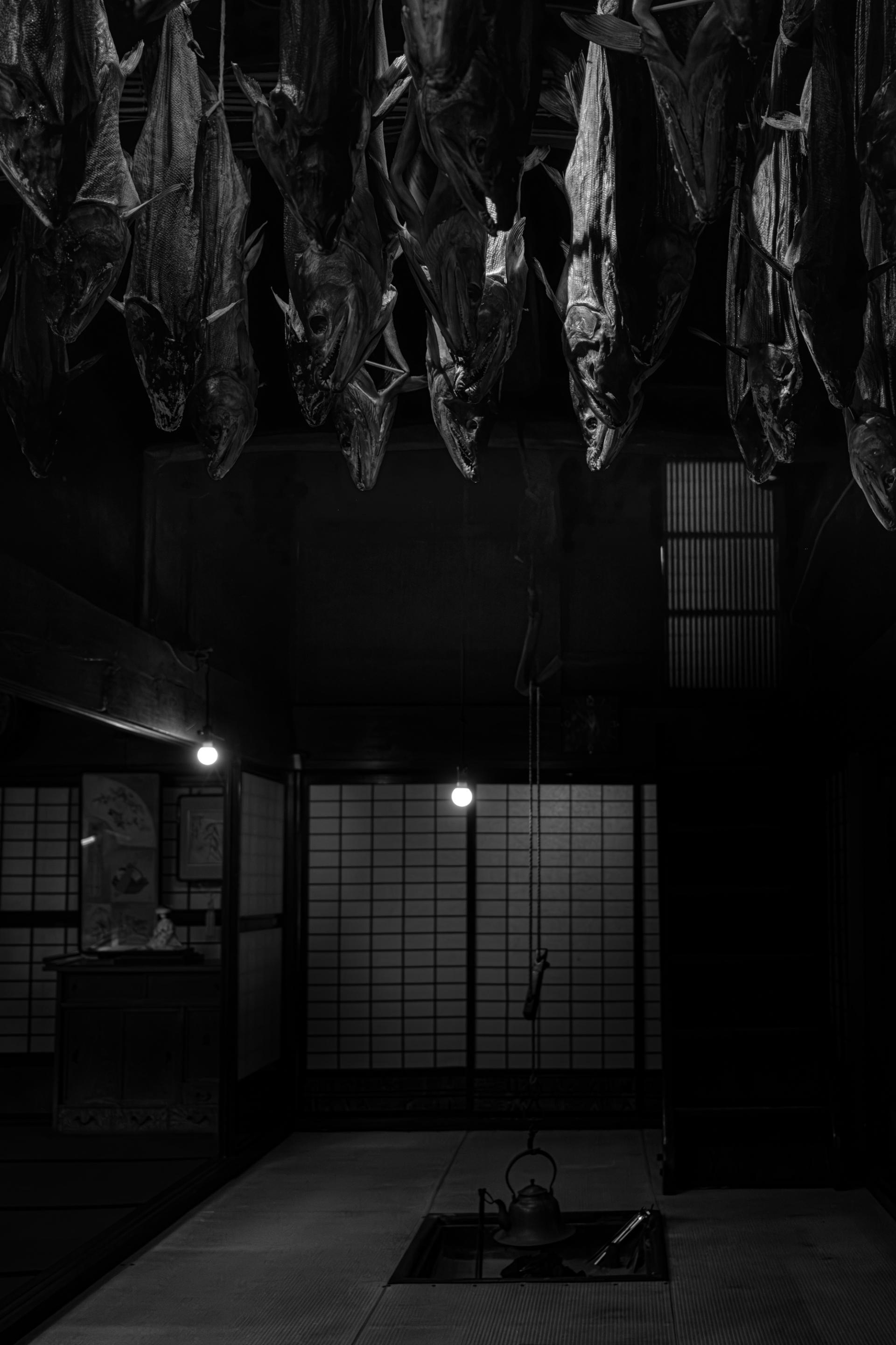 London Photography Awards Winner - salted salmon