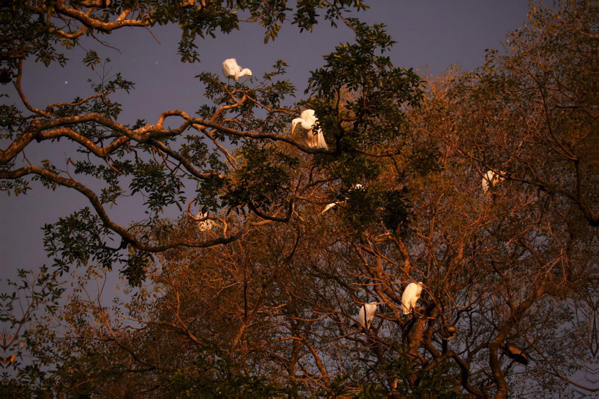 London Photography Awards Winner - Good Night