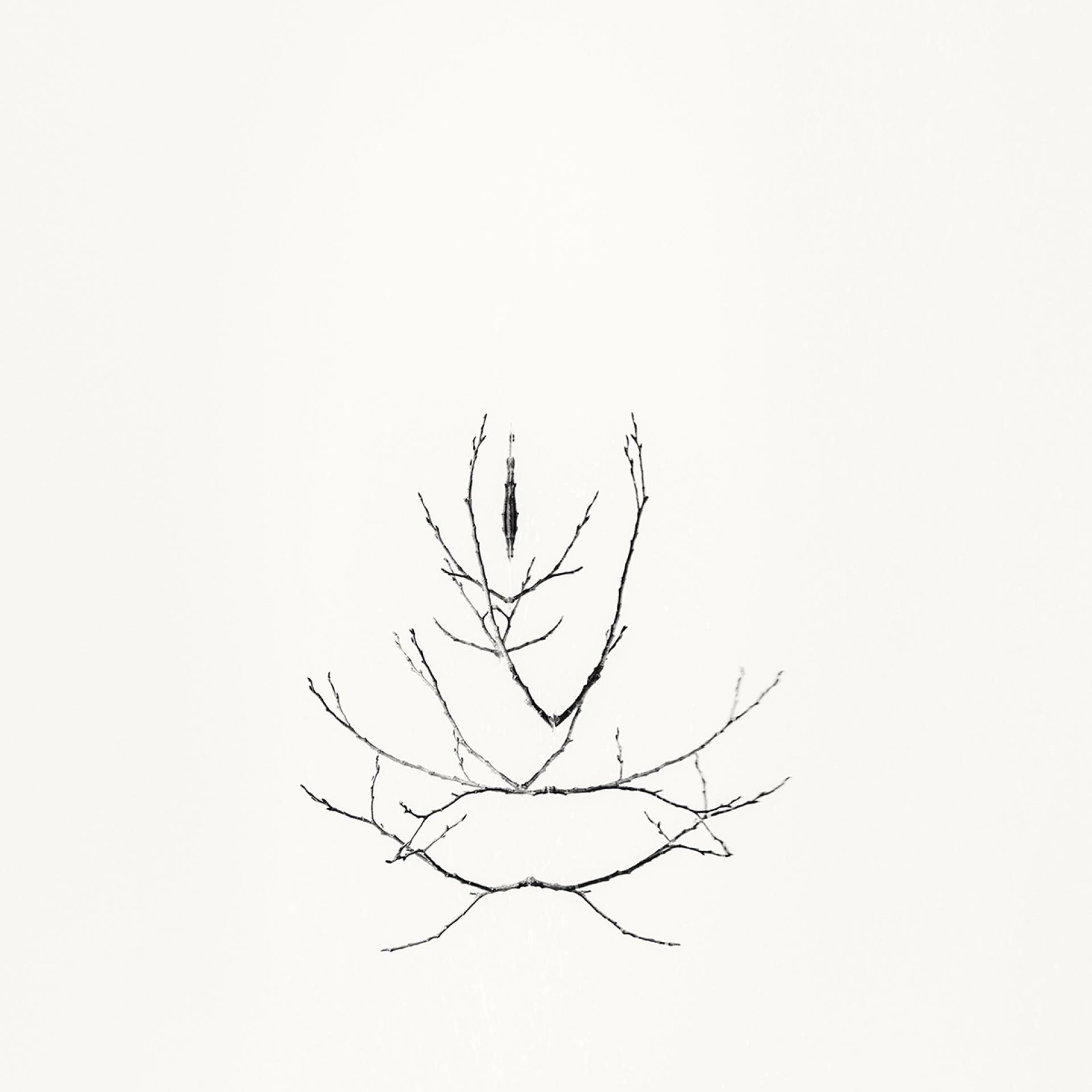 London Photography Awards Winner - Early Spring. In the Mirror  