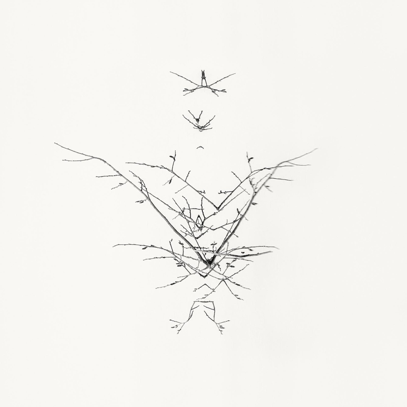 London Photography Awards Winner - Early Spring. In the Mirror  