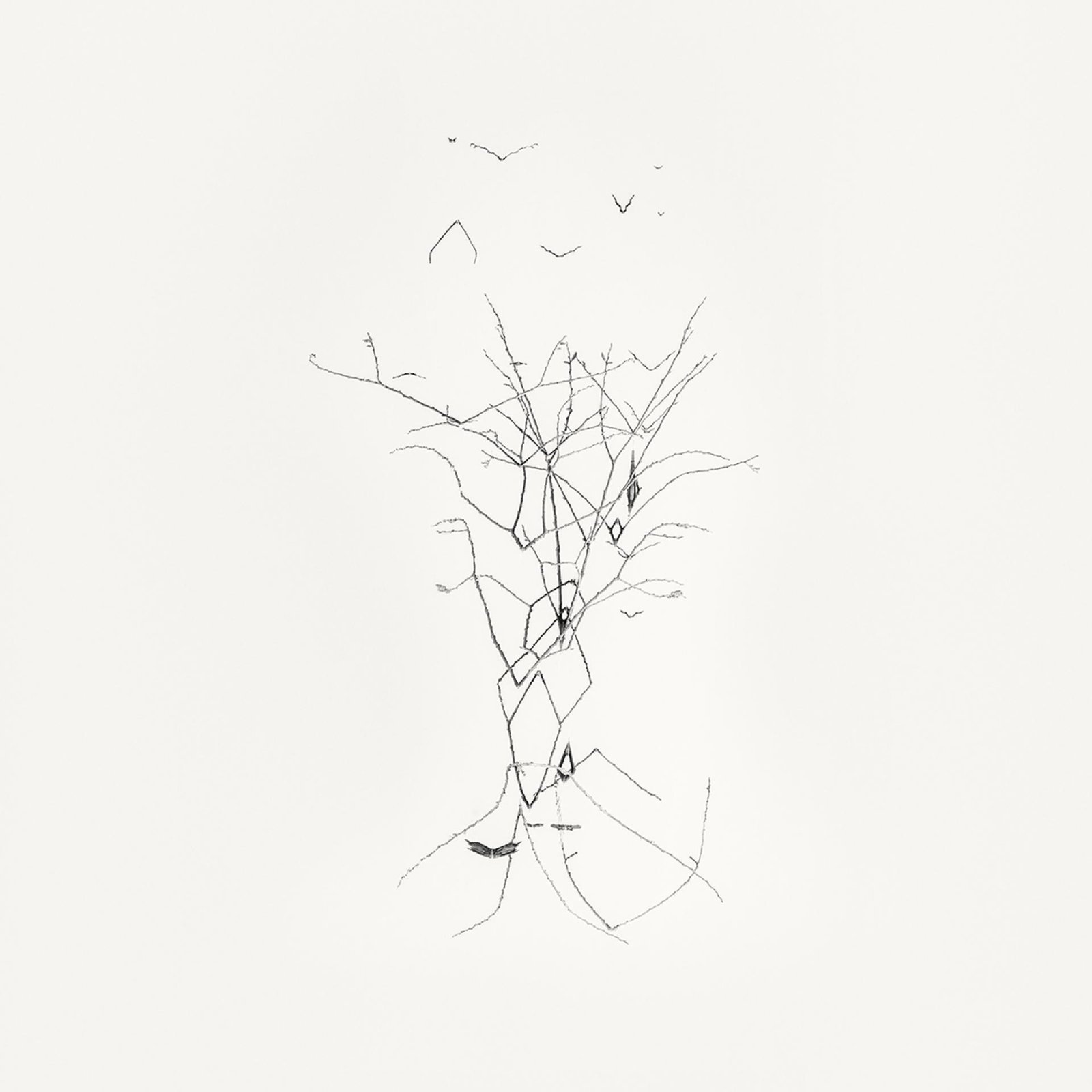 London Photography Awards Winner - Early Spring. In the Mirror  
