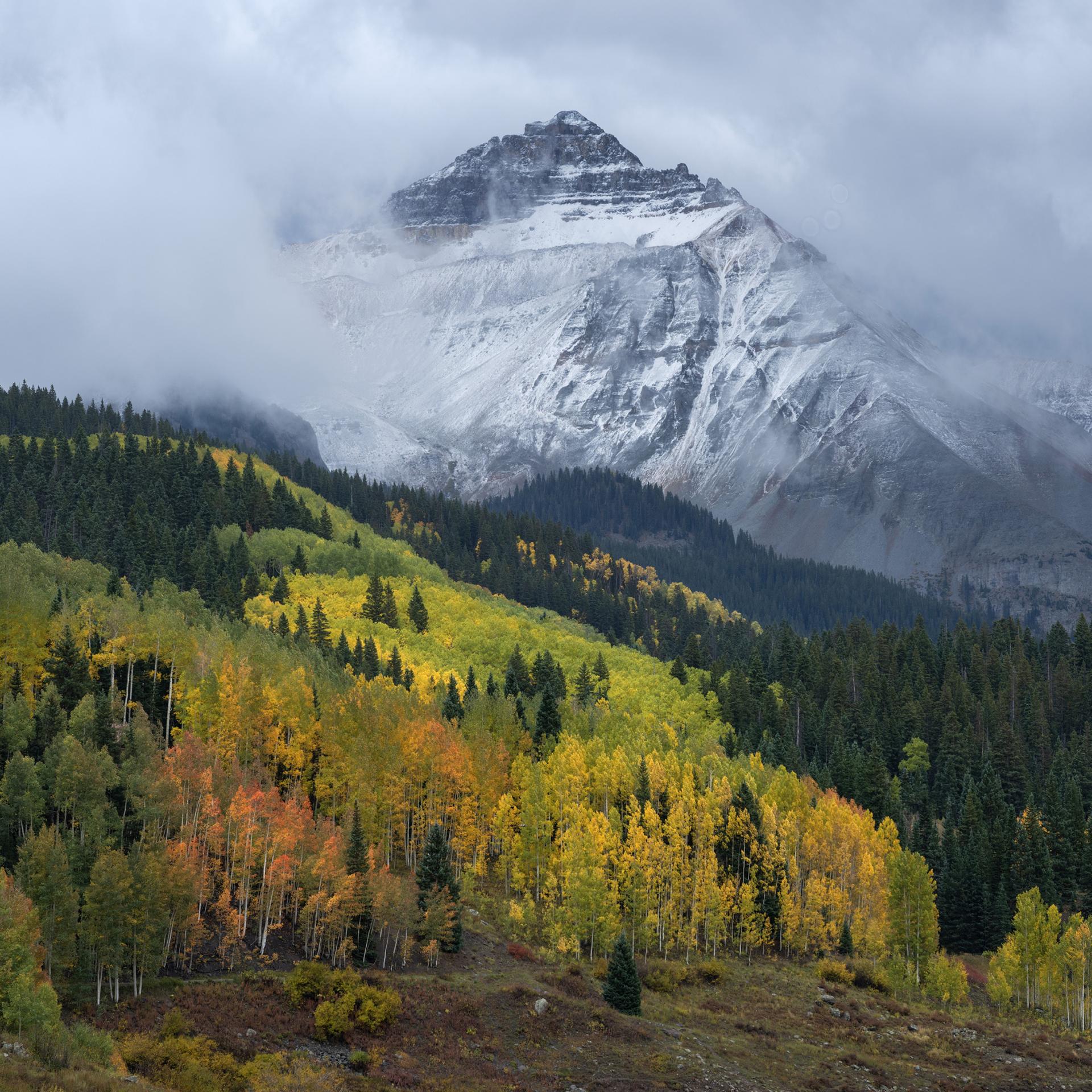 London Photography Awards Winner - Alpine Autumn