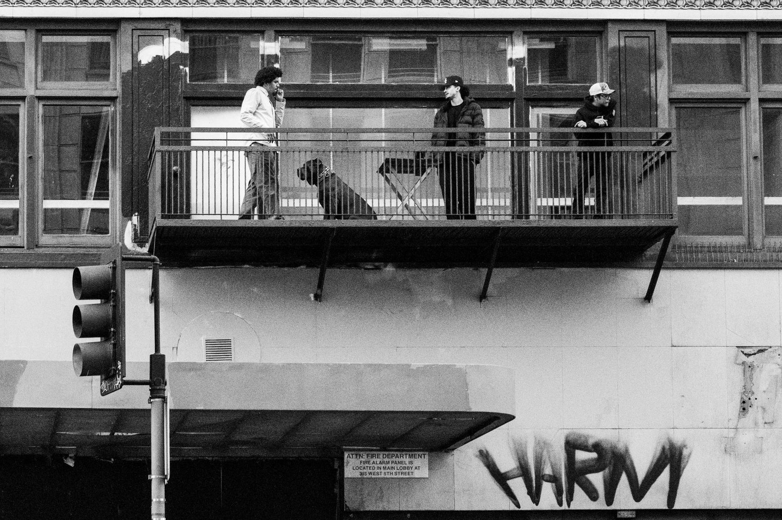 London Photography Awards Winner - Three Kings And A Dog