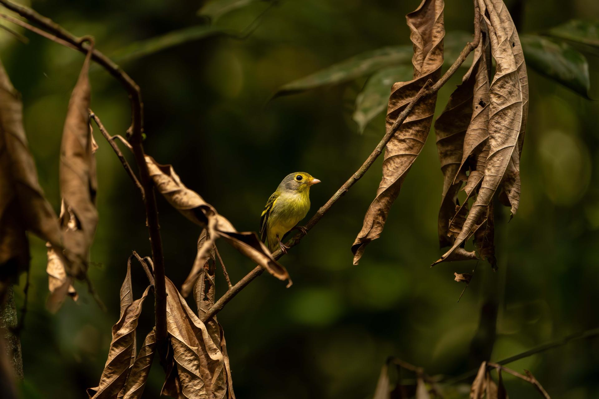 London Photography Awards Winner - Glimmer in the Dark