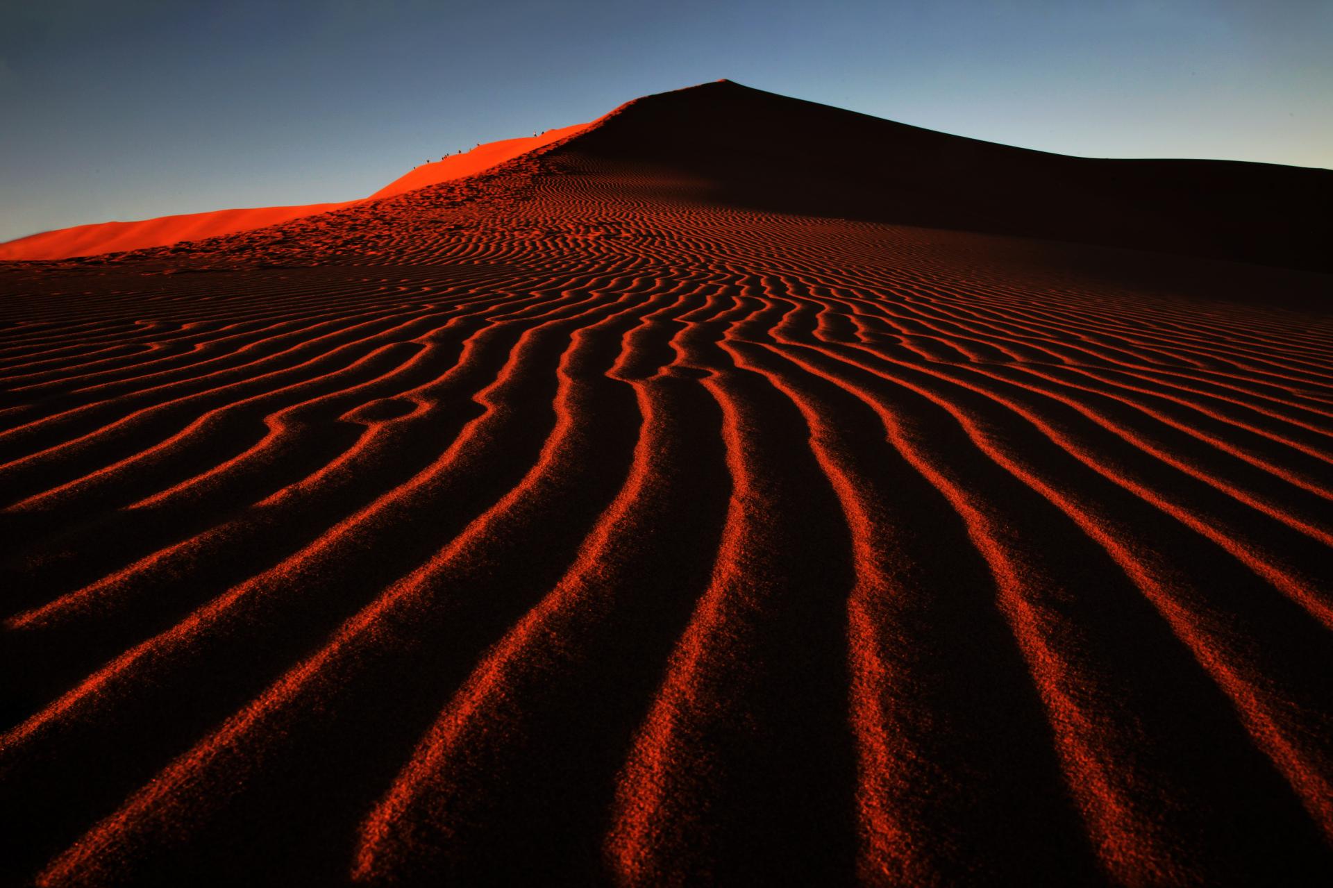 London Photography Awards Winner - Echoes from the Namibian Desert