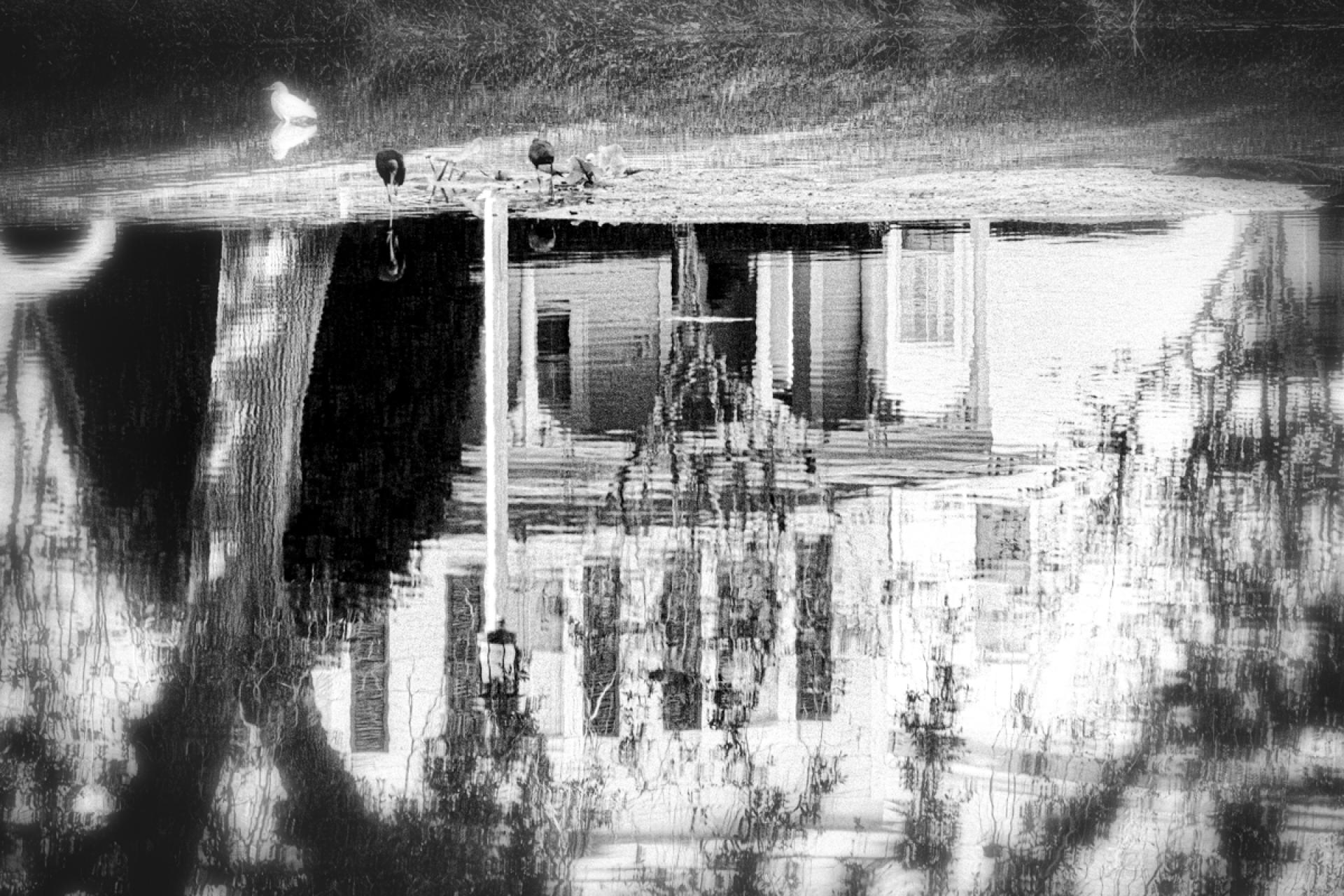 London Photography Awards Winner - Lakeside Cottage
