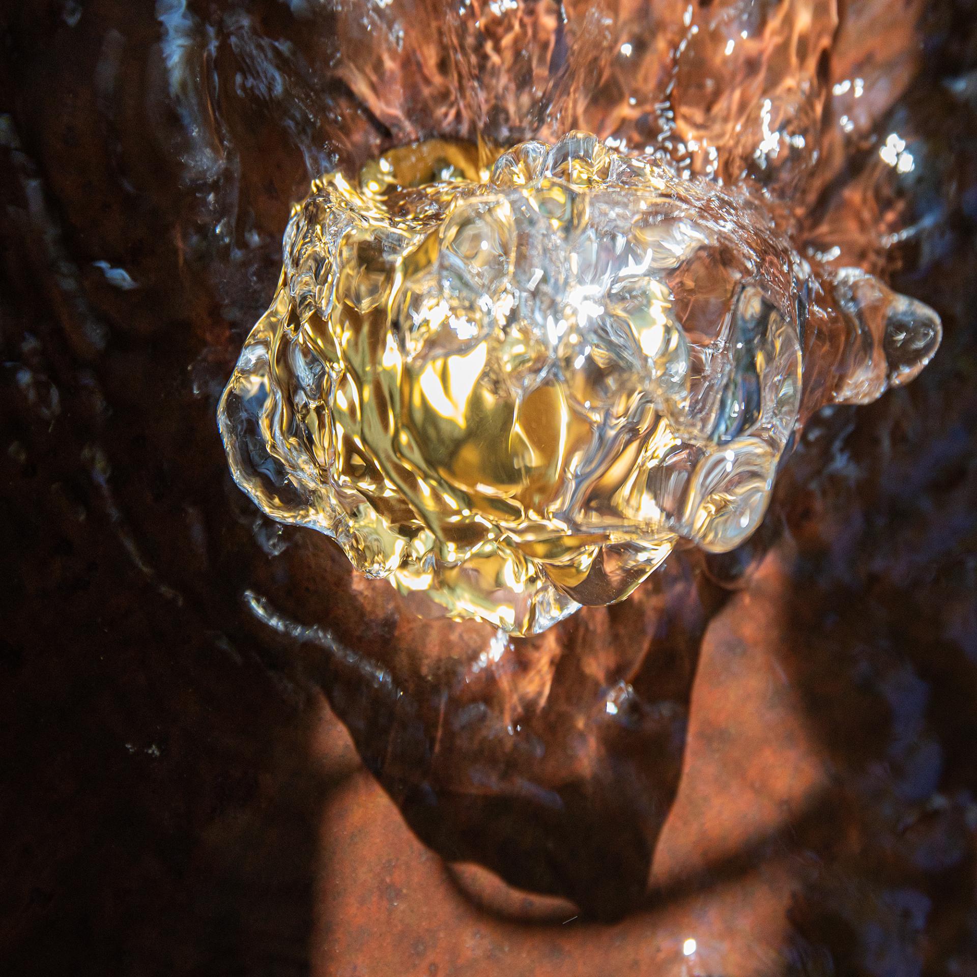 London Photography Awards Winner - Liquid Relic
