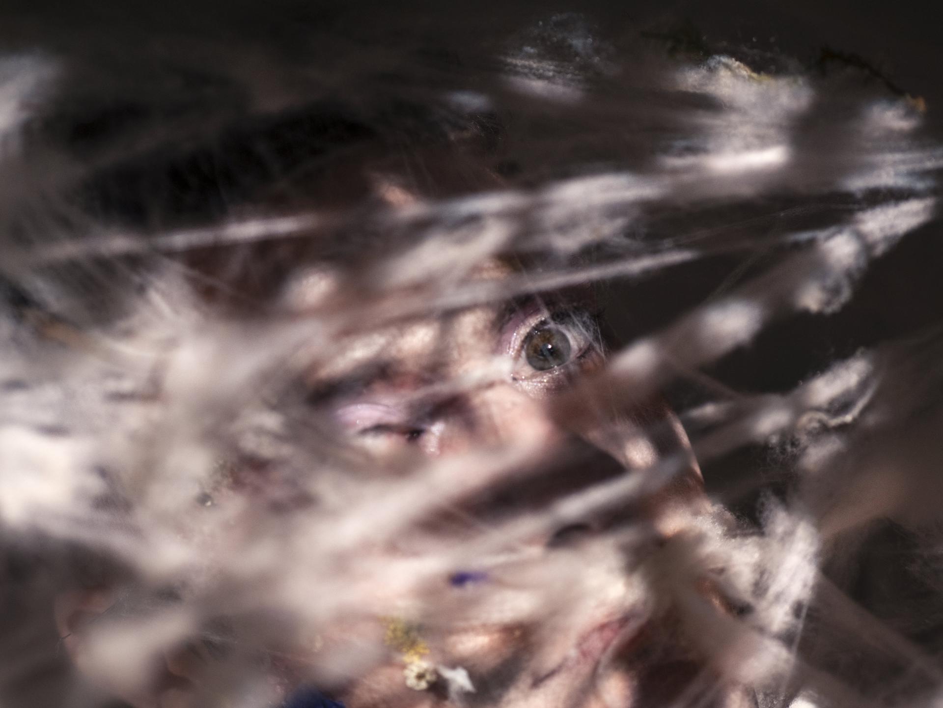 London Photography Awards Winner - Metamorphoses