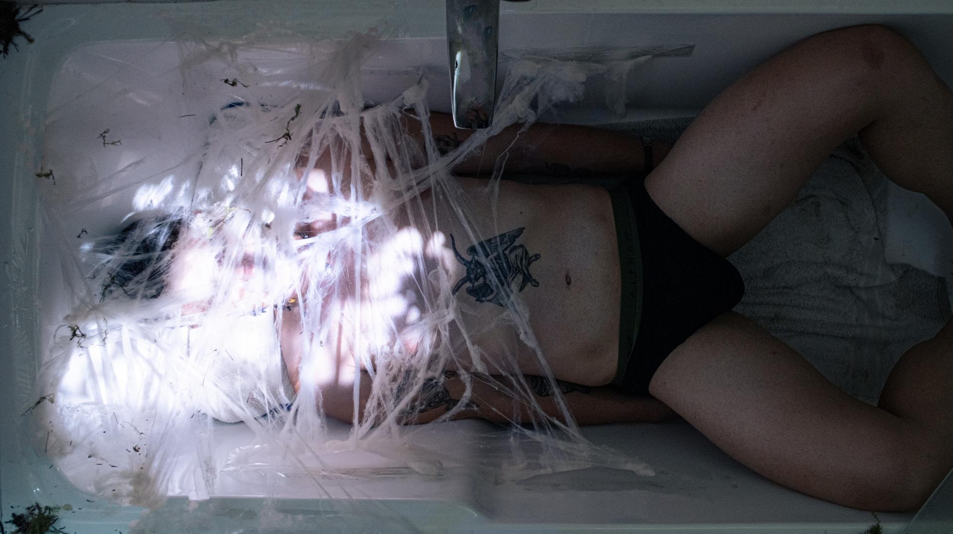 London Photography Awards Winner - Metamorphoses