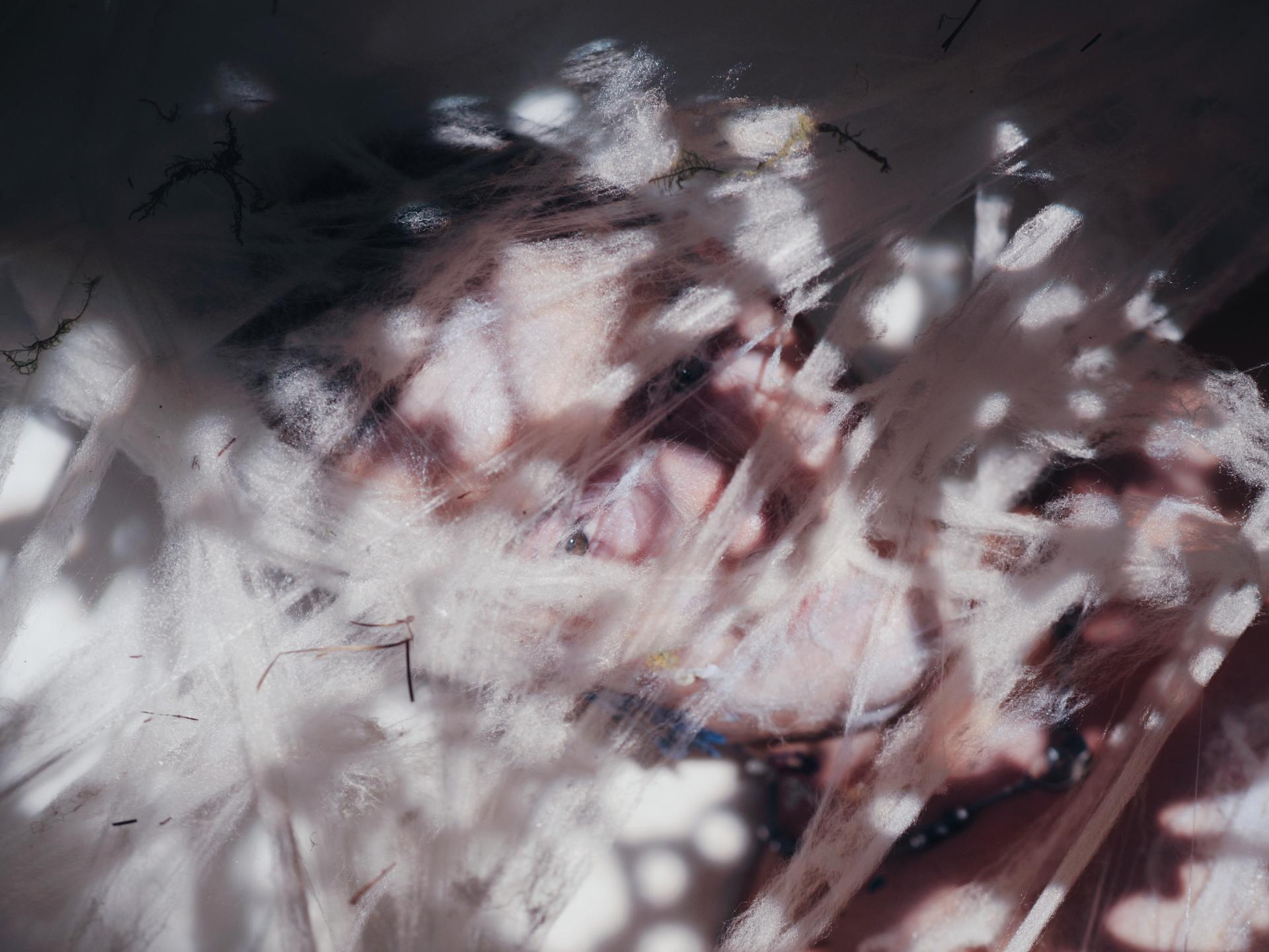 London Photography Awards Winner - Metamorphoses