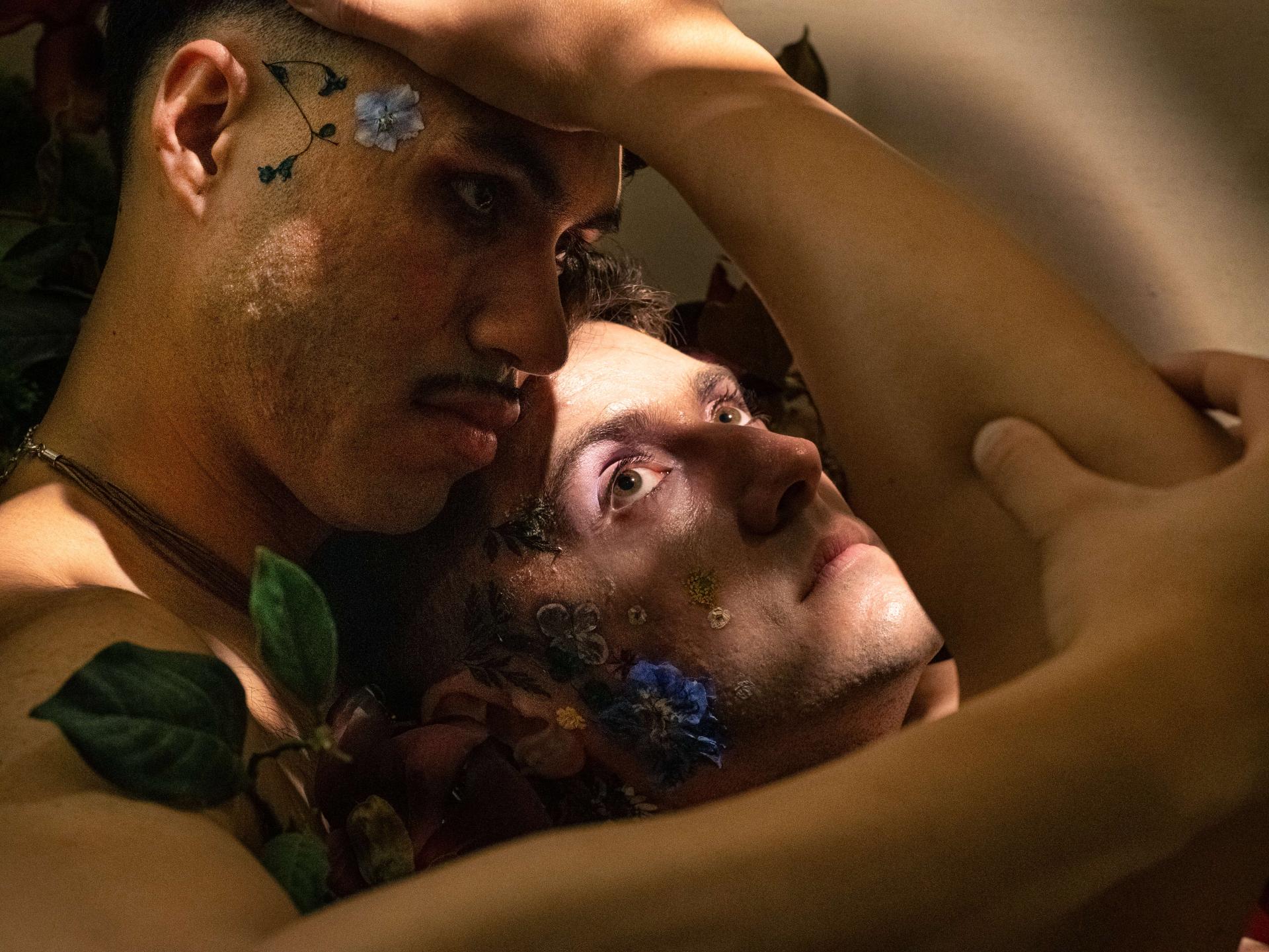 London Photography Awards Winner - Metamorphoses