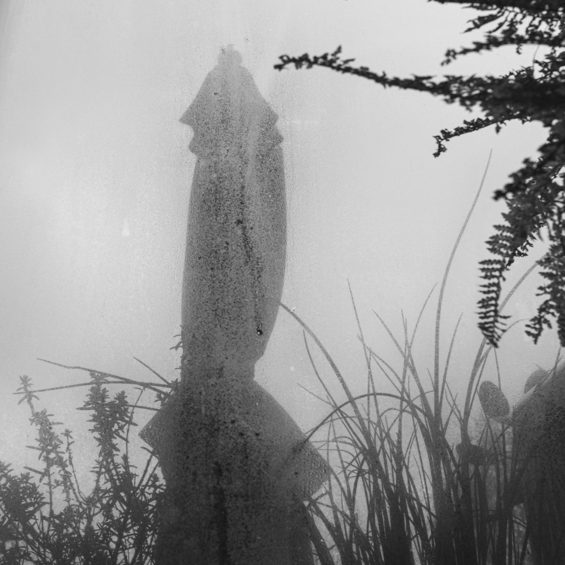 London Photography Awards Winner - Where the Umbrella Waits