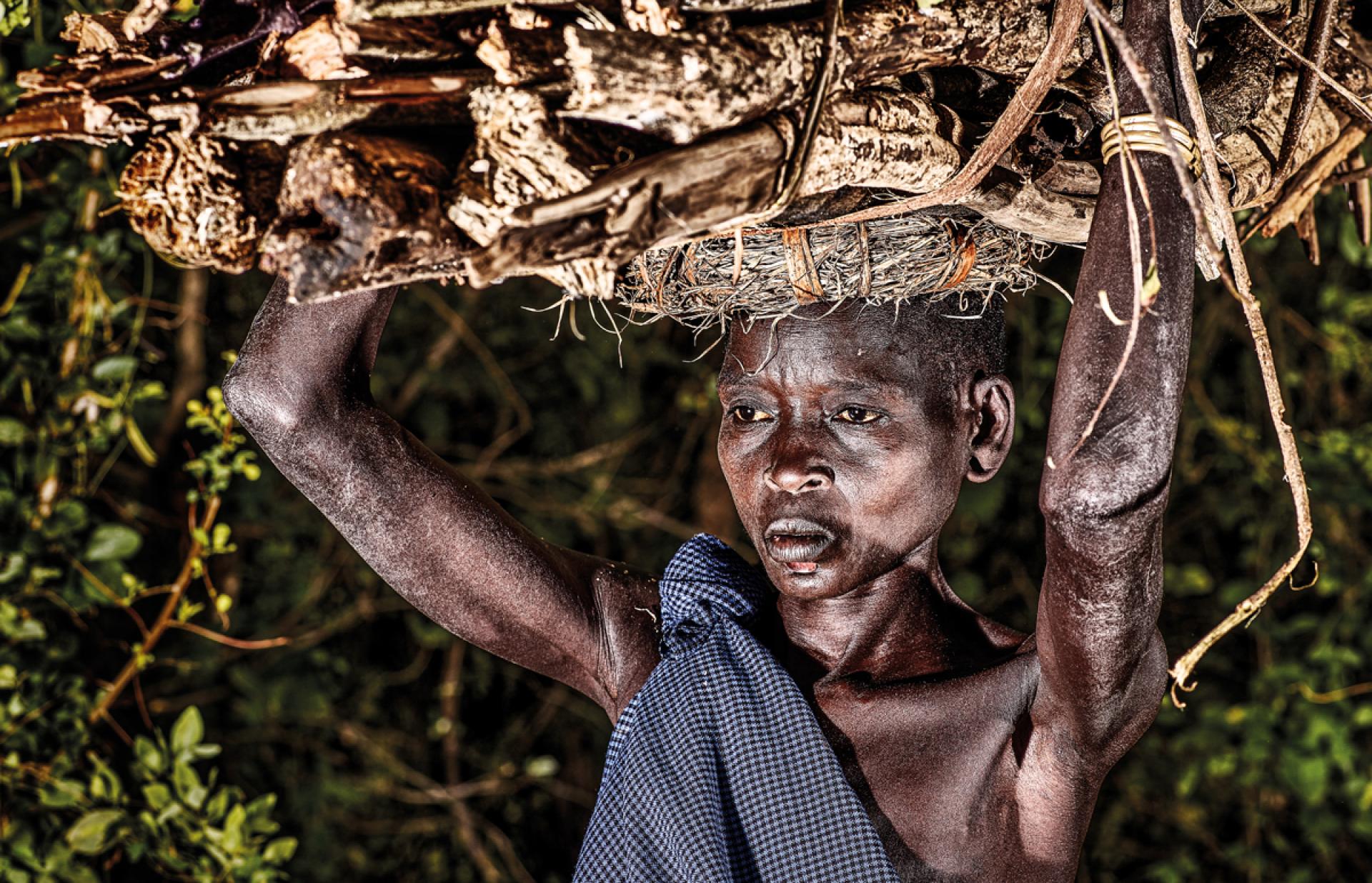 London Photography Awards Winner - Coming from the Forest