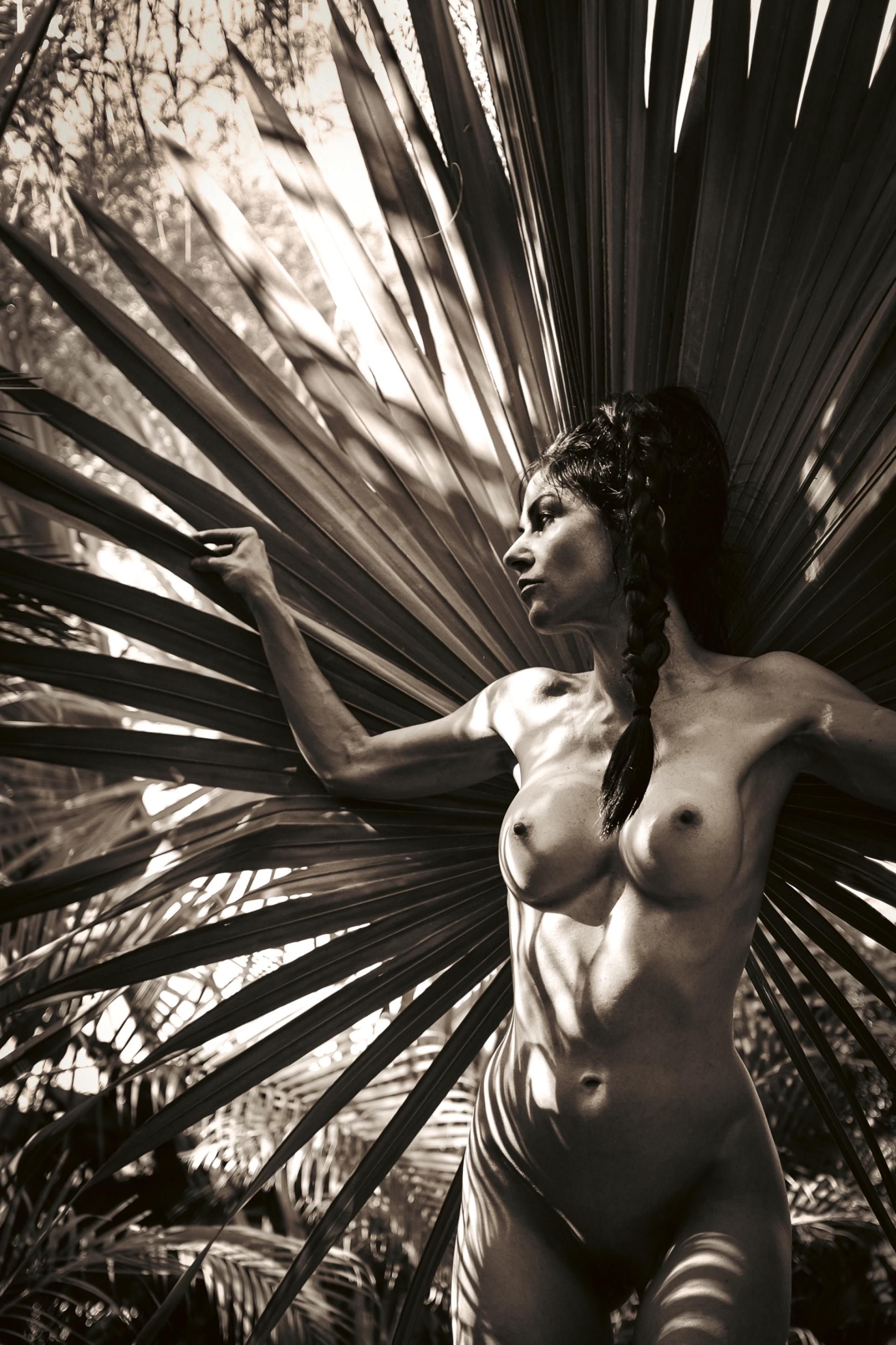 London Photography Awards Winner - Solar Ascendant