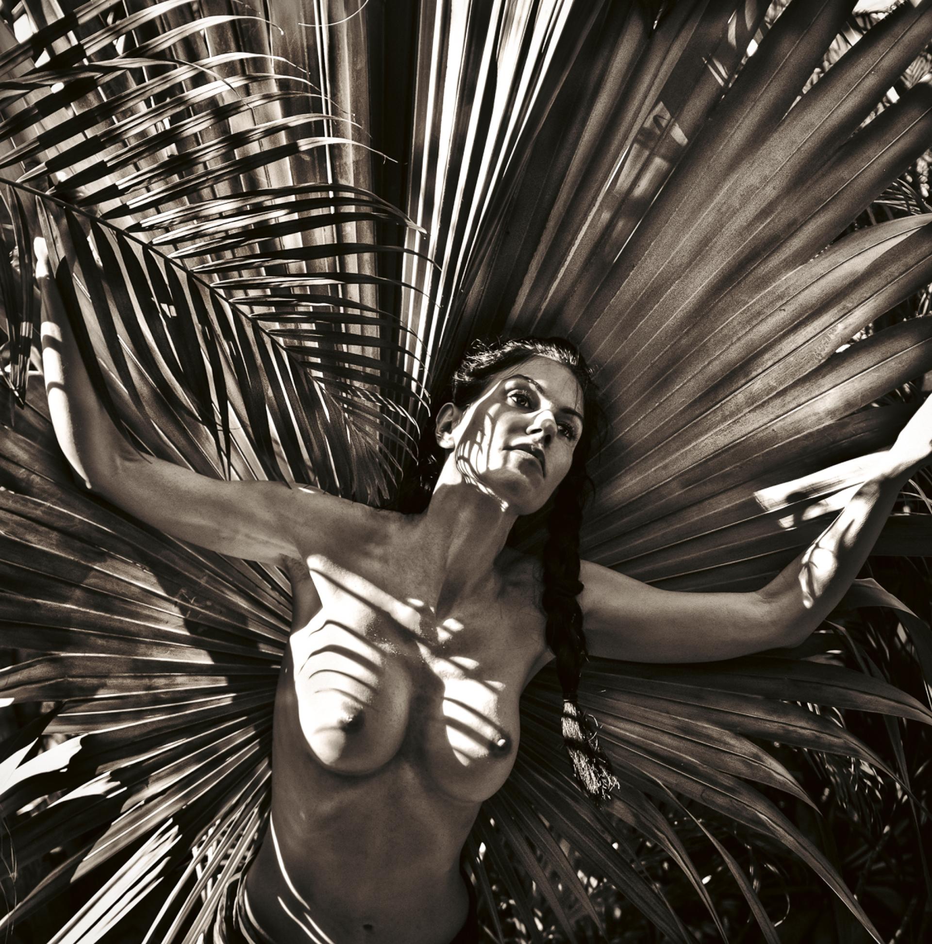 London Photography Awards Winner - Solar Ascendant