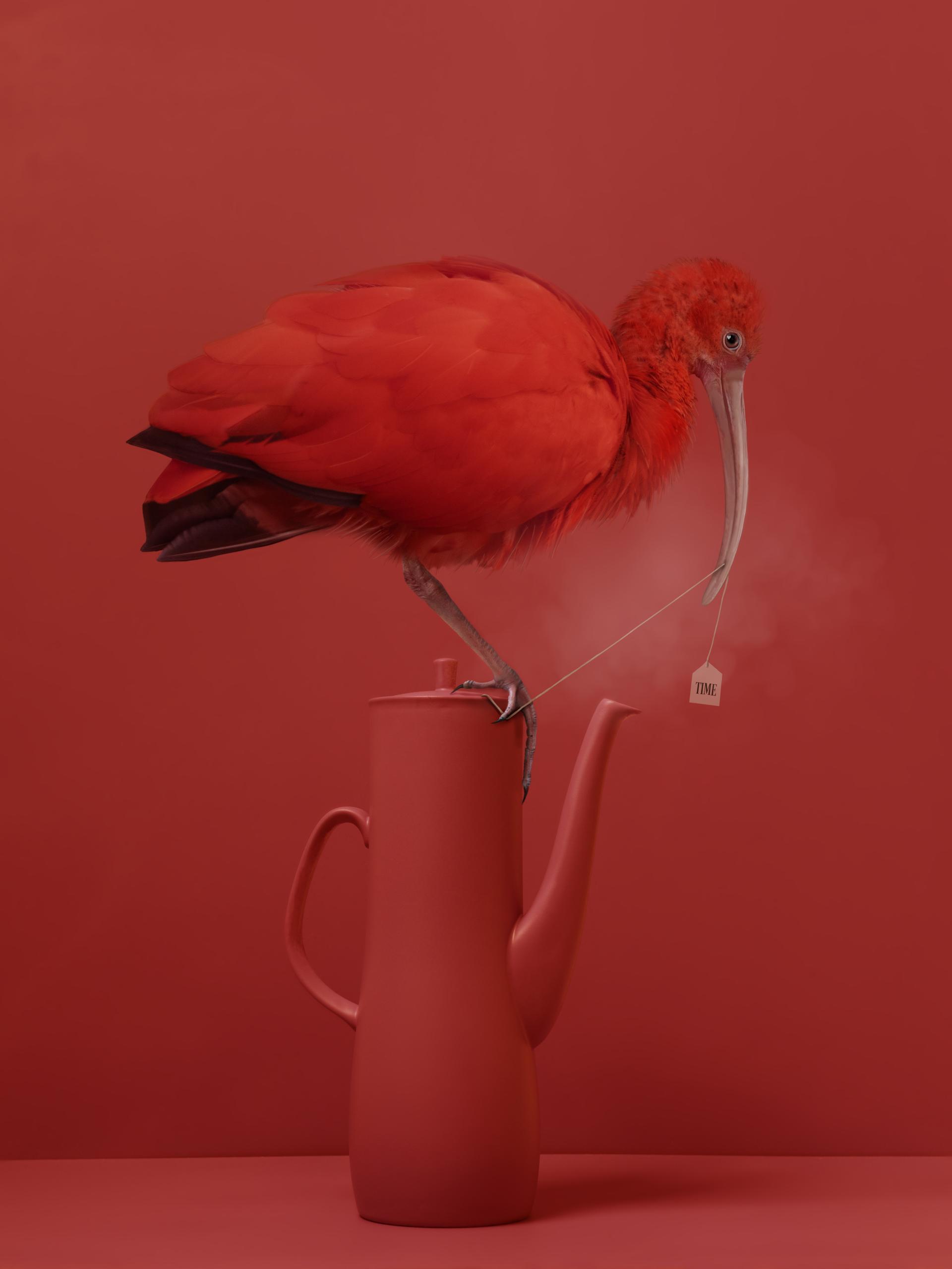 London Photography Awards Winner - Time