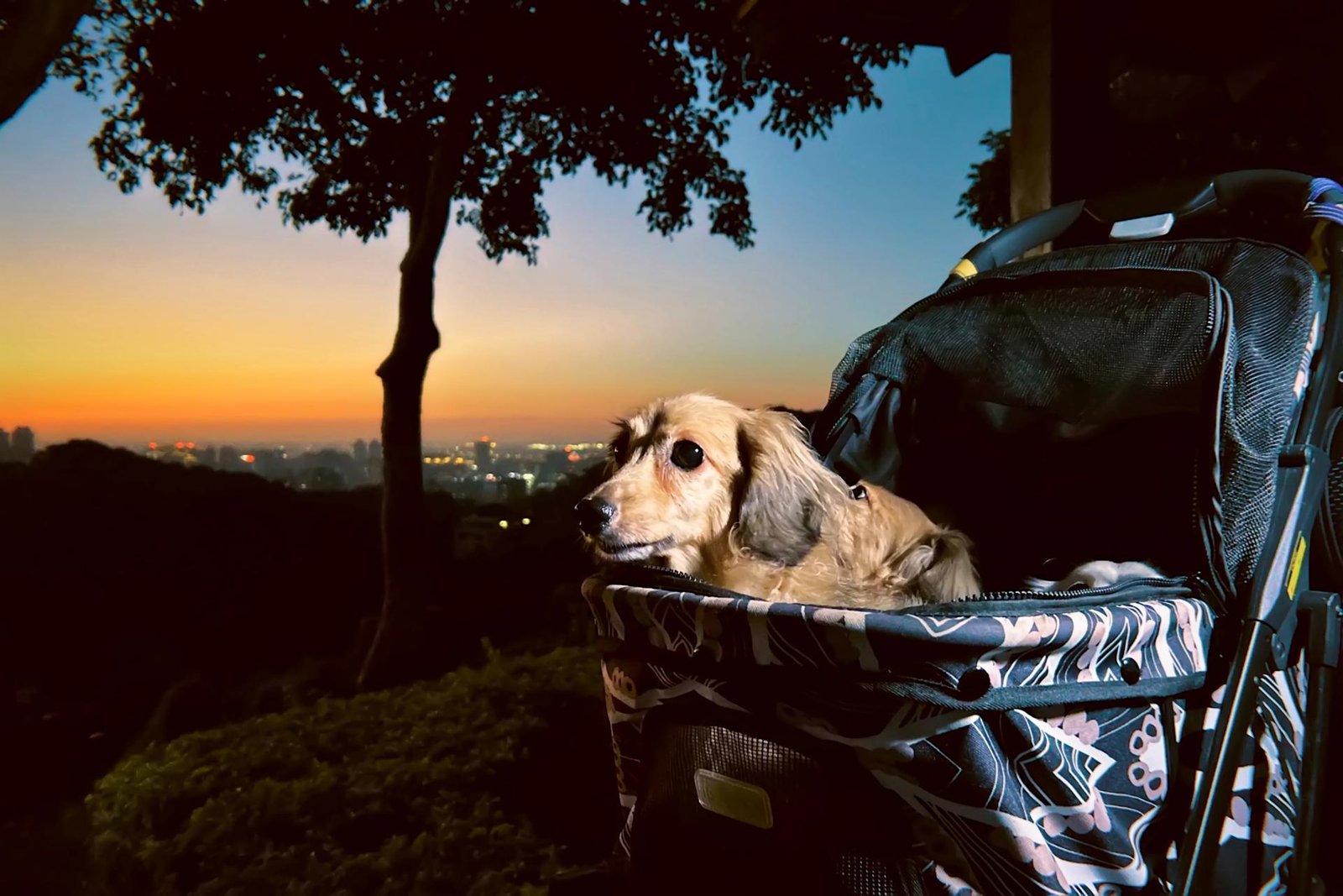 London Photography Awards Winner - Twilight Watchers on the City’s Edge
