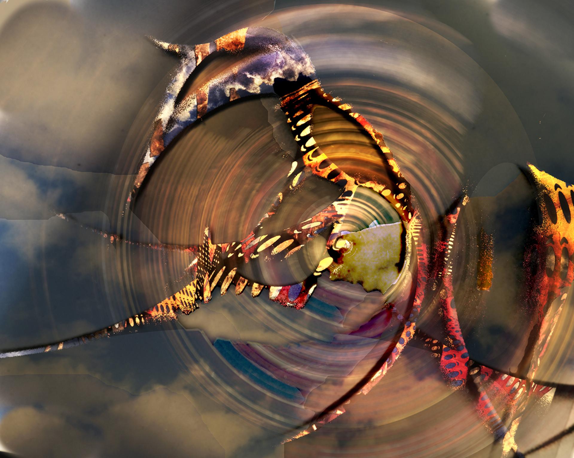 London Photography Awards Winner - Interrupted Motion Series