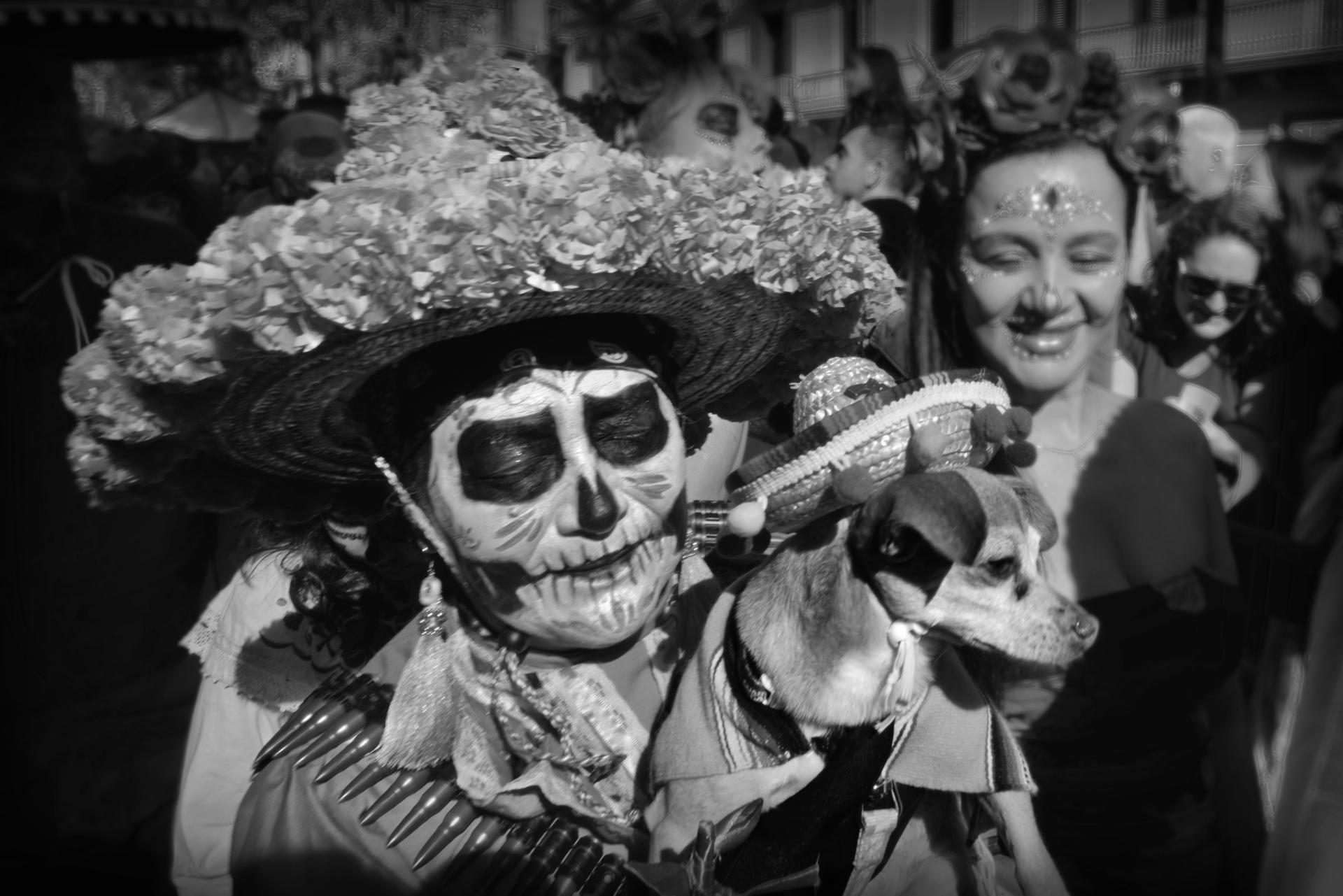 London Photography Awards Winner - The march of life and death