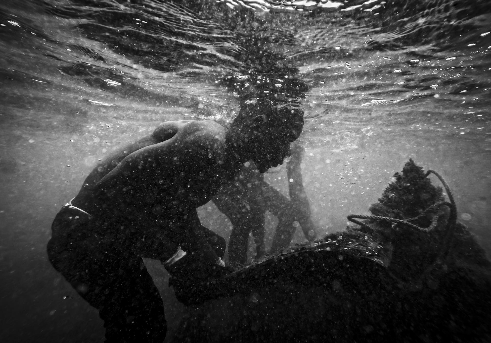 London Photography Awards Winner - Black Gold, Salty Blood