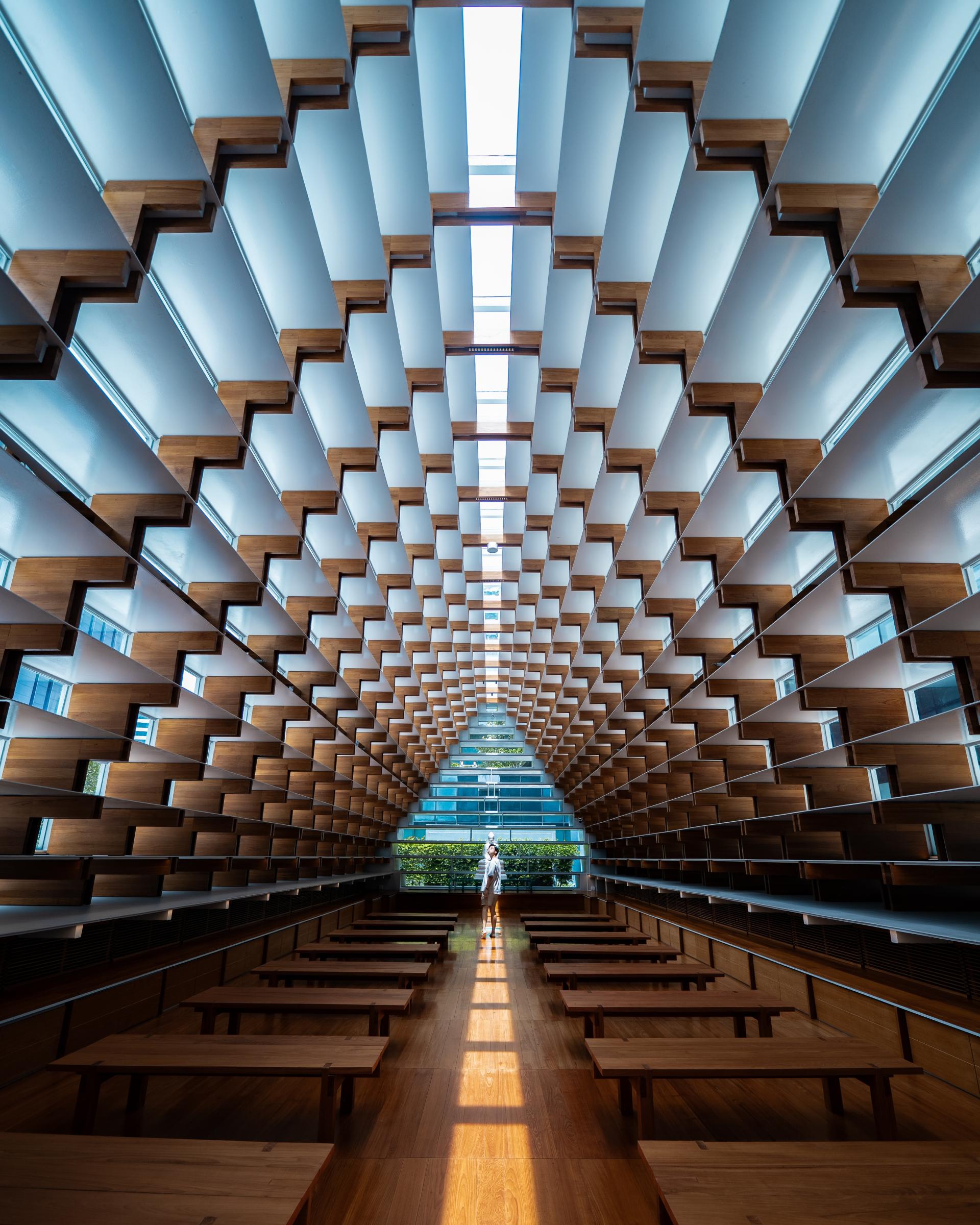 London Photography Awards Winner - Steps to Enlightenment