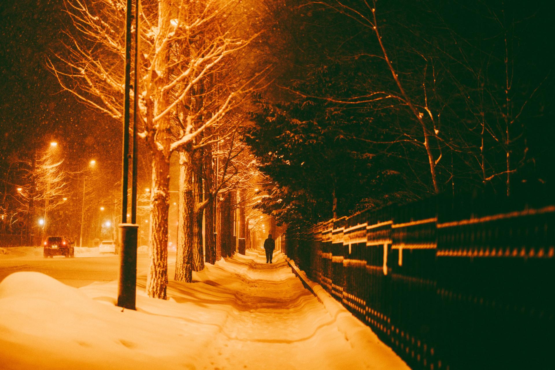 London Photography Awards Winner - Snowy Night