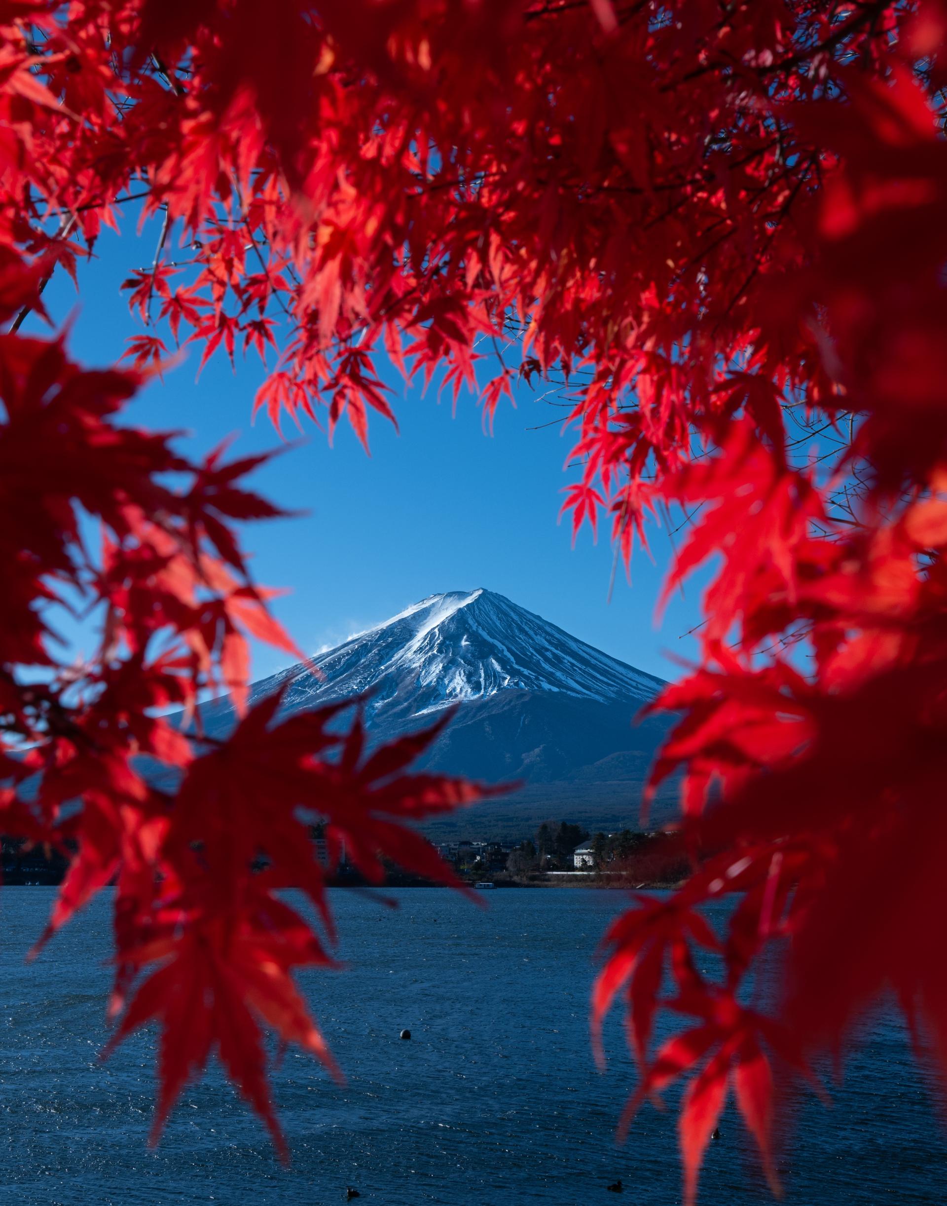 London Photography Awards Winner - Mount Fuji Framed in Red